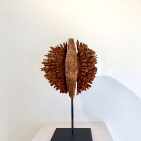 Nicolas Vaudroz