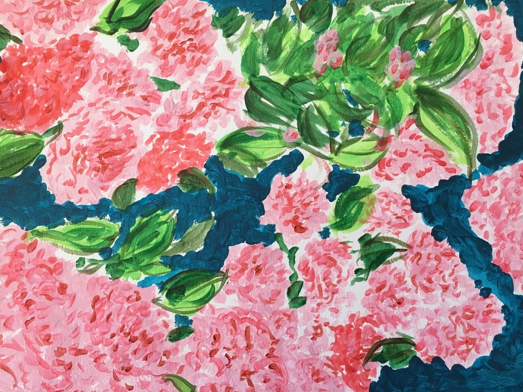 Manuel Santelices, Peonies Manuel Santelices, Peonies