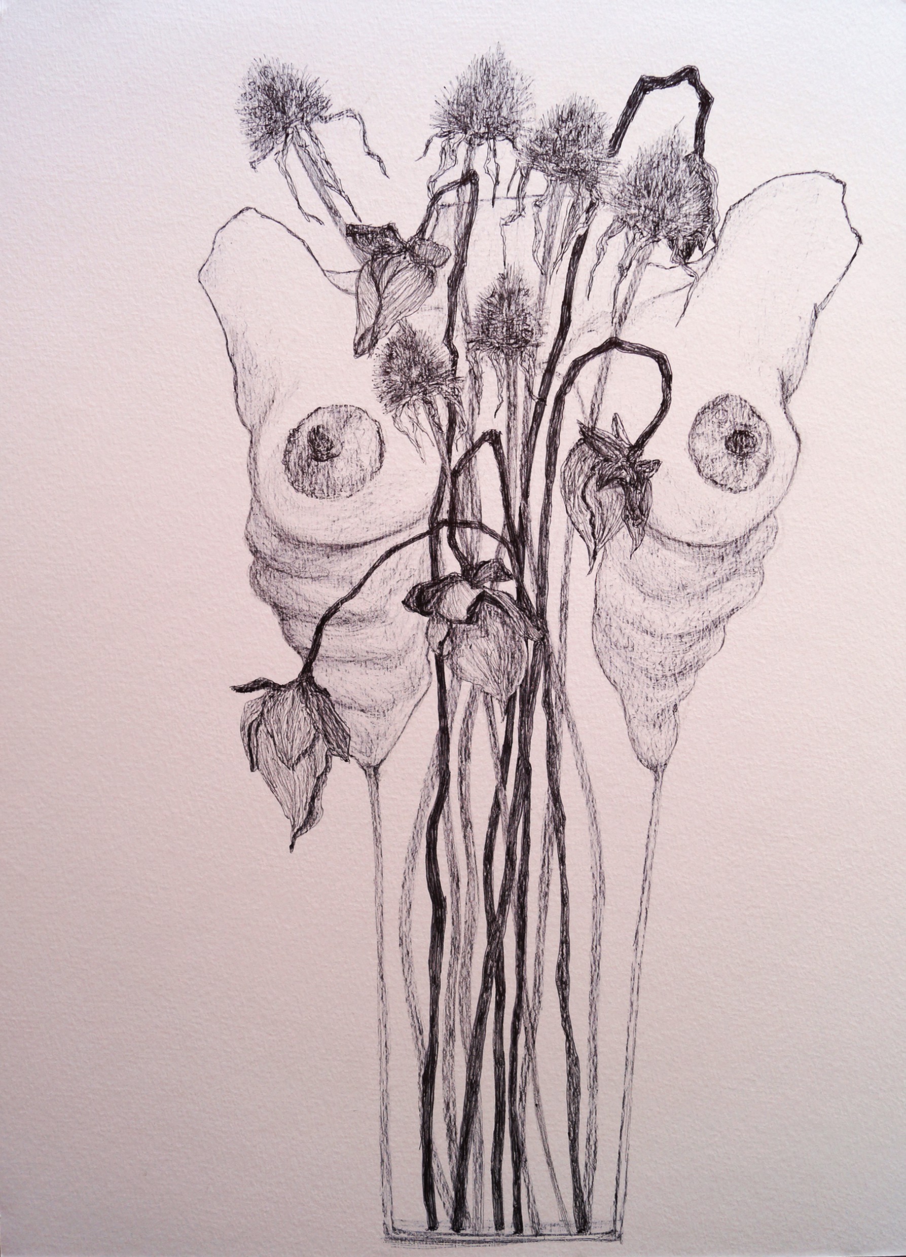 Rossella Mercedes, Wither Rossella Mercedes, Wither