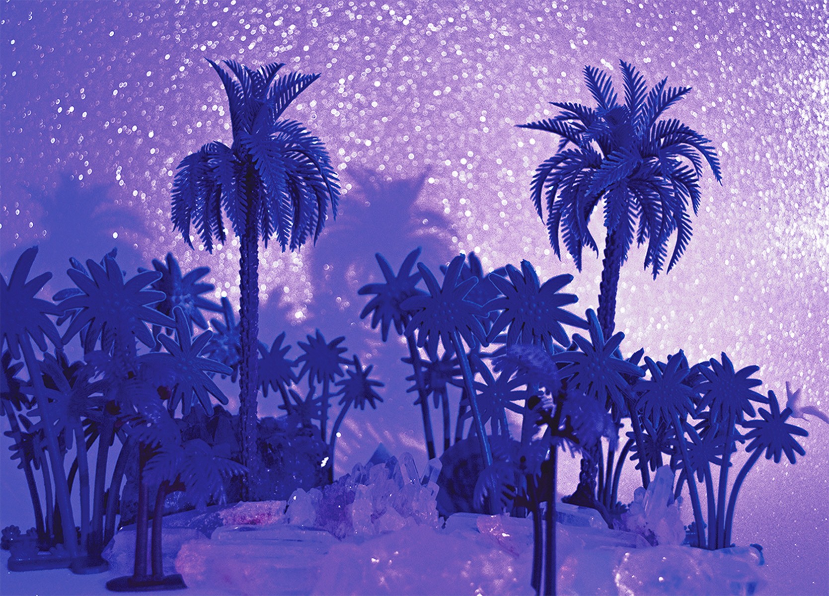 Paloma Castello, Tropicarios #6 Paloma Castello, Tropicarios #6