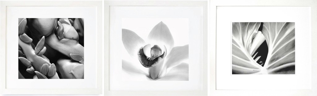 Iran Issa-Khan, Coconuts, Orchid, and Leaf (Triptych) Iran Issa-Khan, Coconuts, Orchid, and Leaf (Triptych)