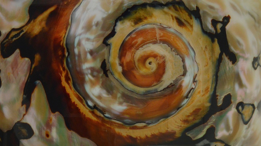 Iran Issa-Khan, Whirlwind- Large Color Photograph mounted on plexiglass Iran Issa-Khan, Whirlwind- Large Color Photograph mounted on plexiglass