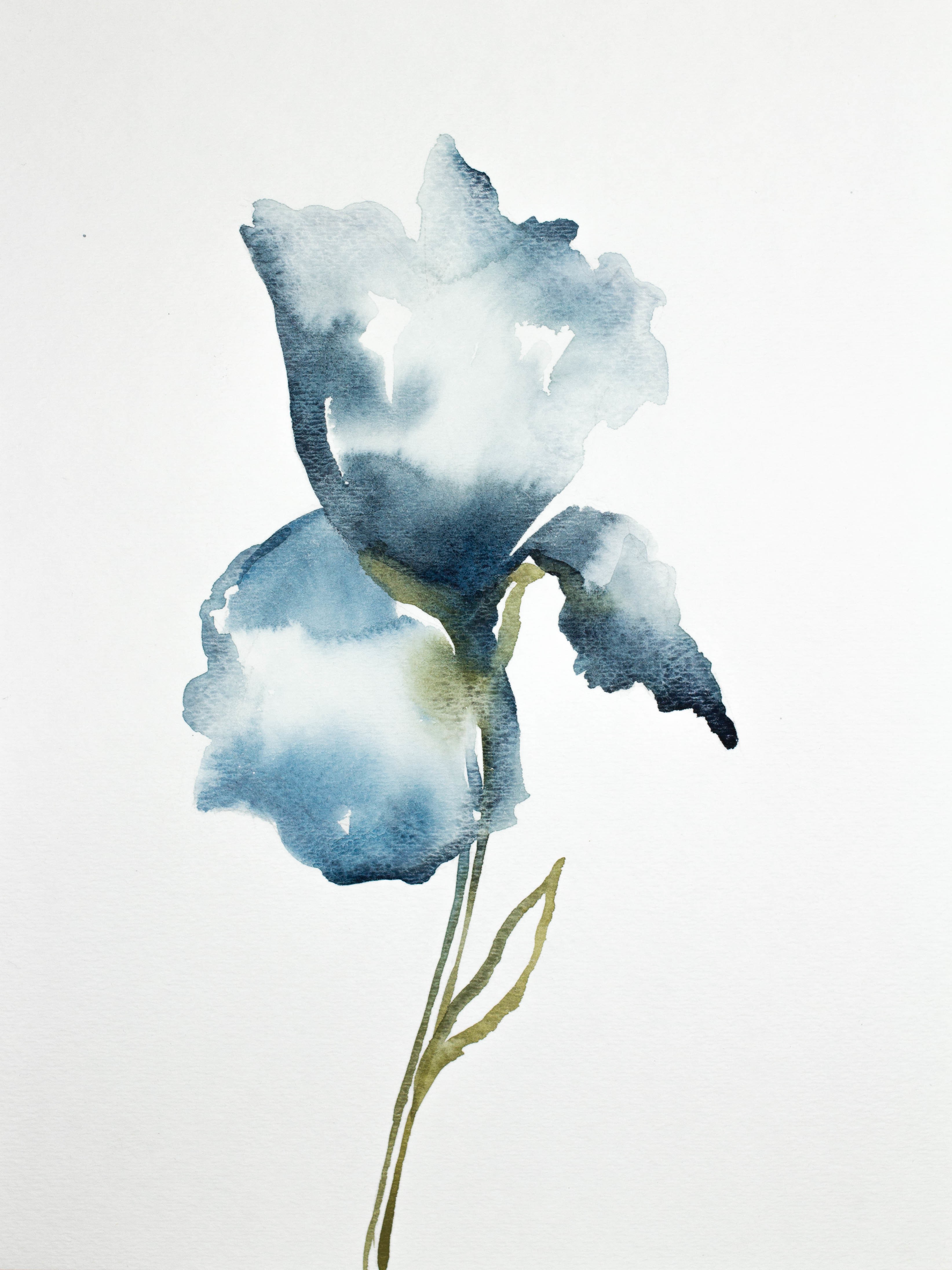 Elizabeth Becker, Iris No. 18 Elizabeth Becker, Iris No. 18