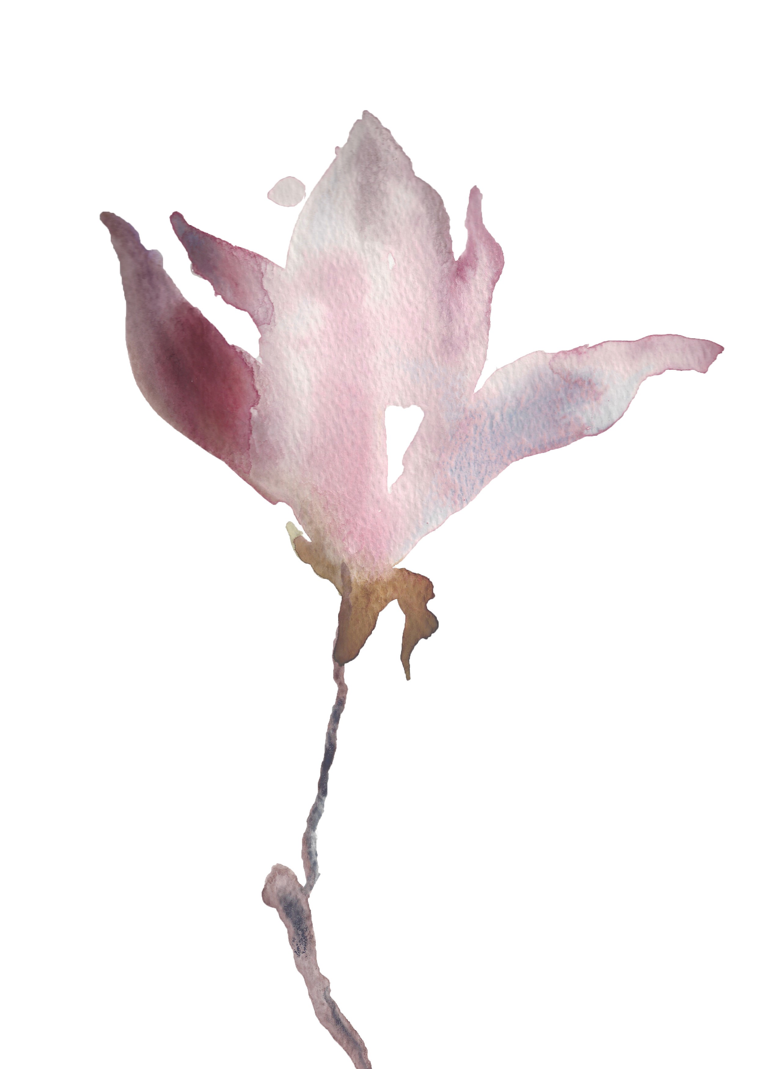 Elizabeth Becker, Magnolia No. 2 Elizabeth Becker, Magnolia No. 2