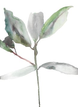 Peinture, Rhododendron Study No. 1, Elizabeth Becker