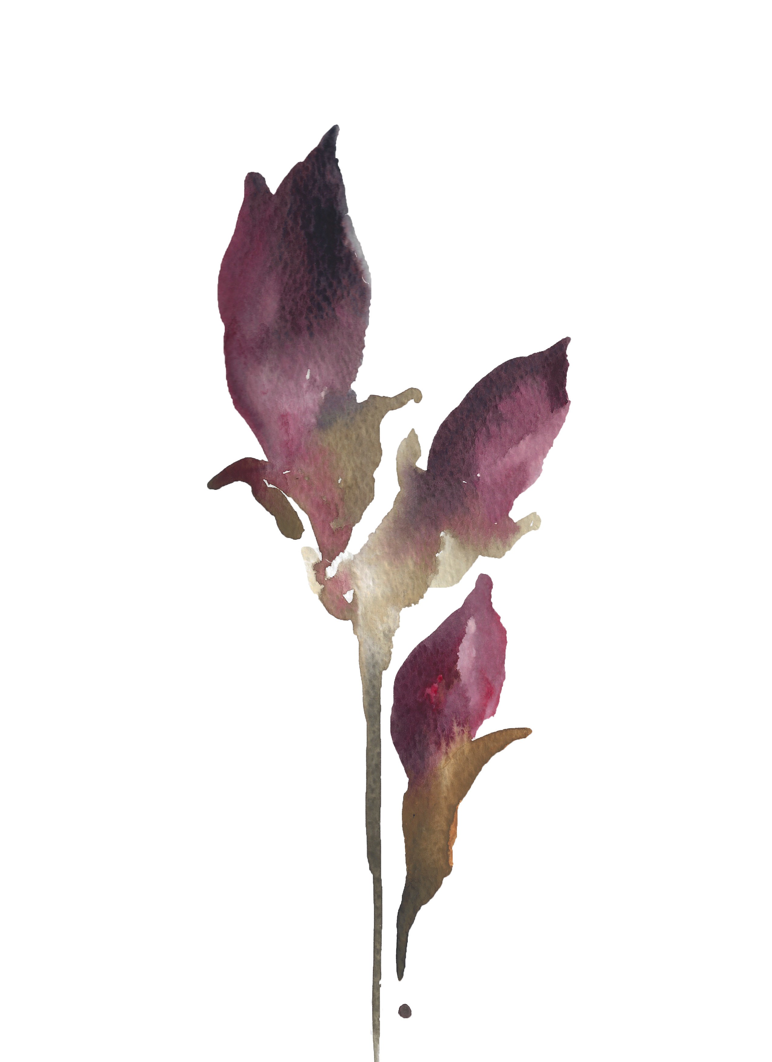 Elizabeth Becker, Rose Buds No. 2 Elizabeth Becker, Rose Buds No. 2