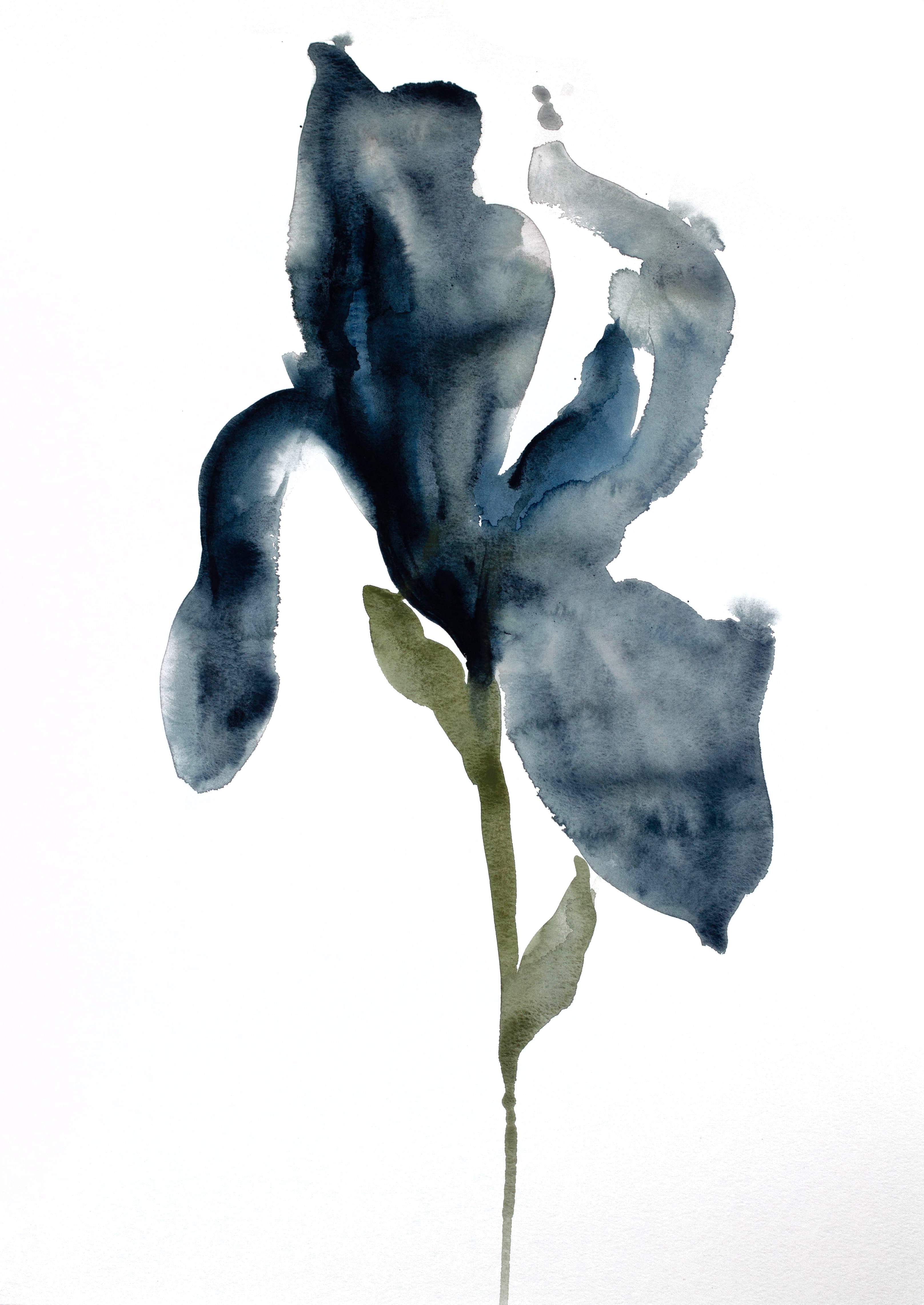 Elizabeth Becker, Iris No. 45 Elizabeth Becker, Iris No. 45