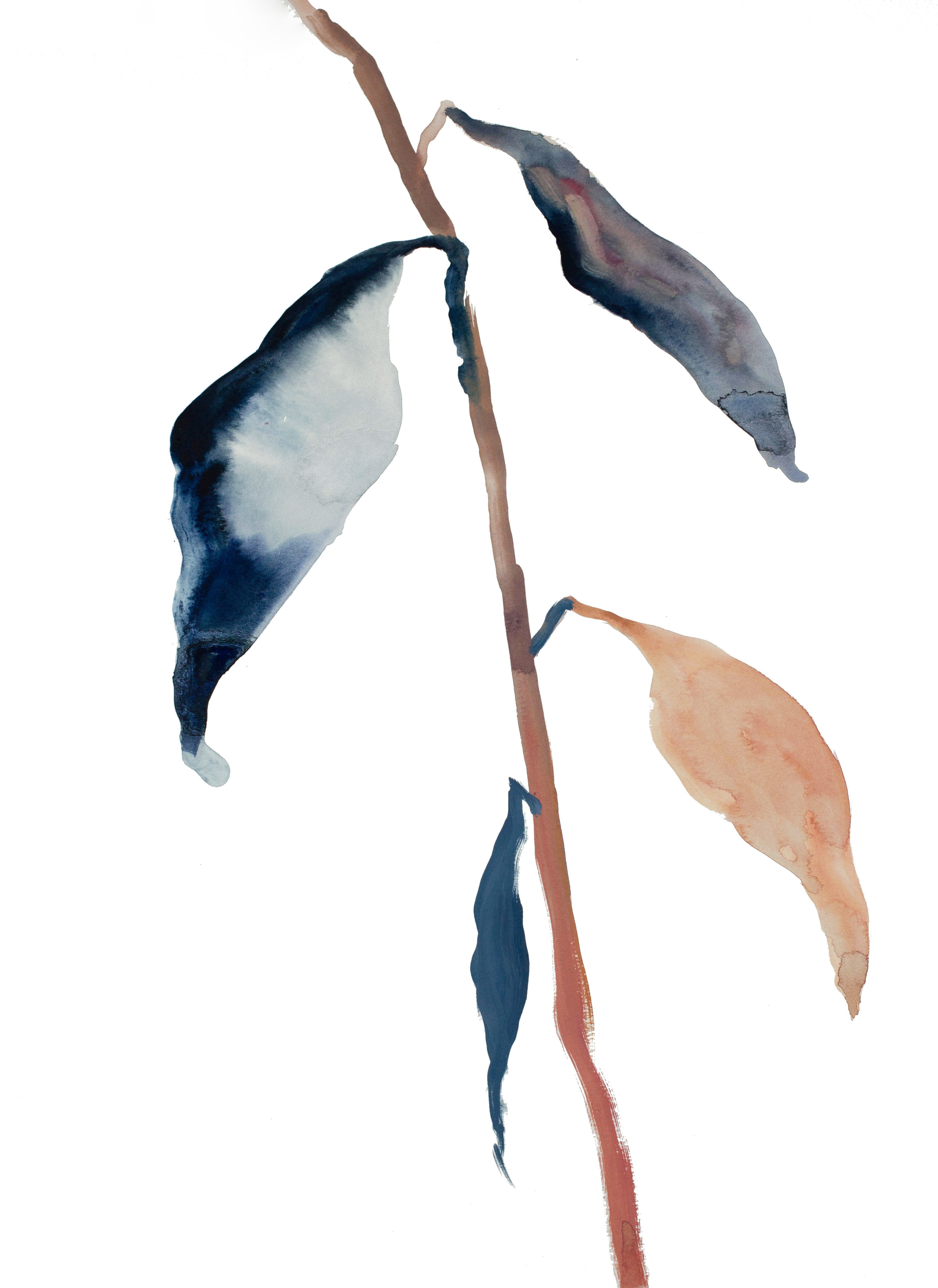 Elizabeth Becker, Plant Study No. 38 Elizabeth Becker, Plant Study No. 38