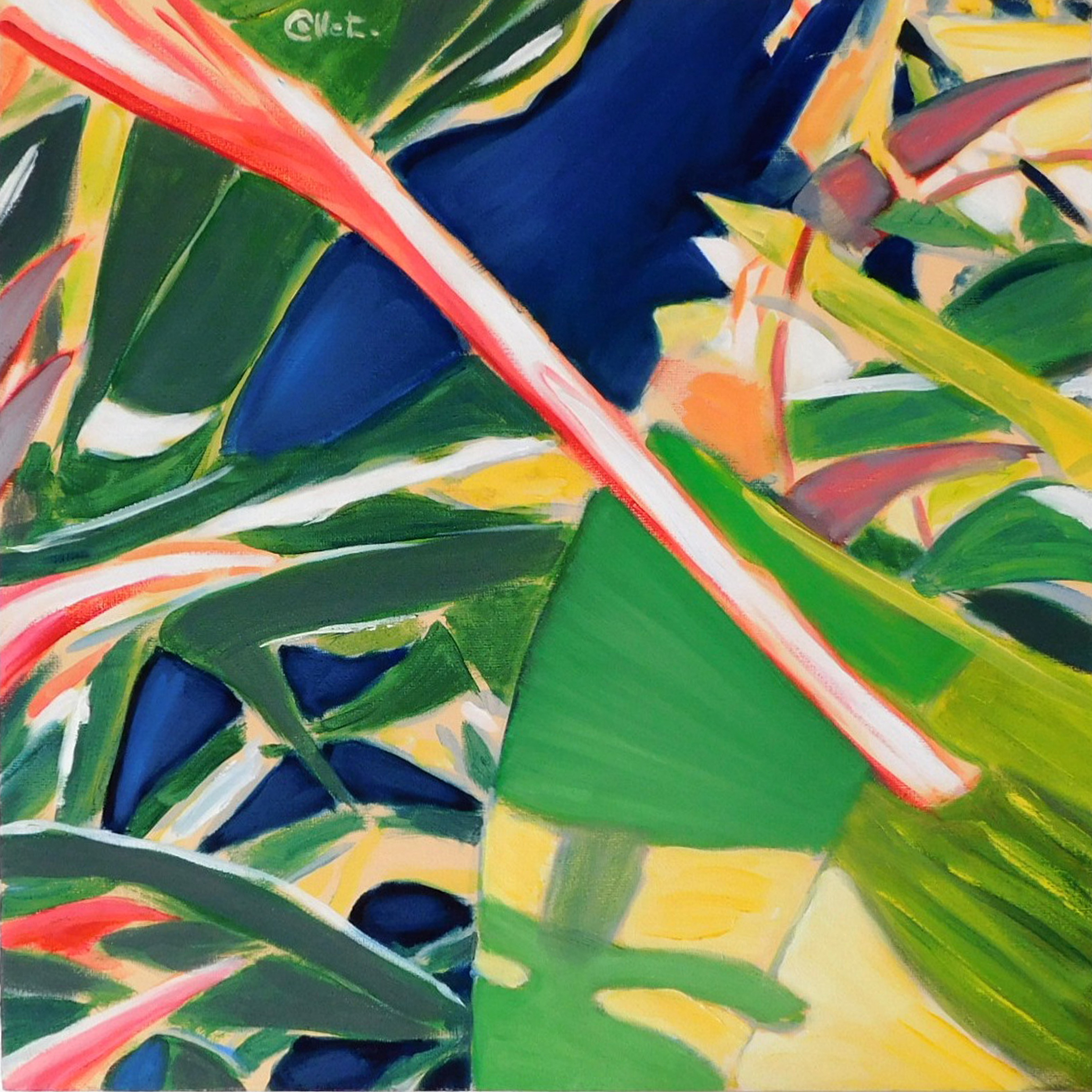Bernard Marie Collet, Tropiques, eau, feuilles, fleurs Bernard Marie Collet, Tropiques, eau, feuilles, fleurs