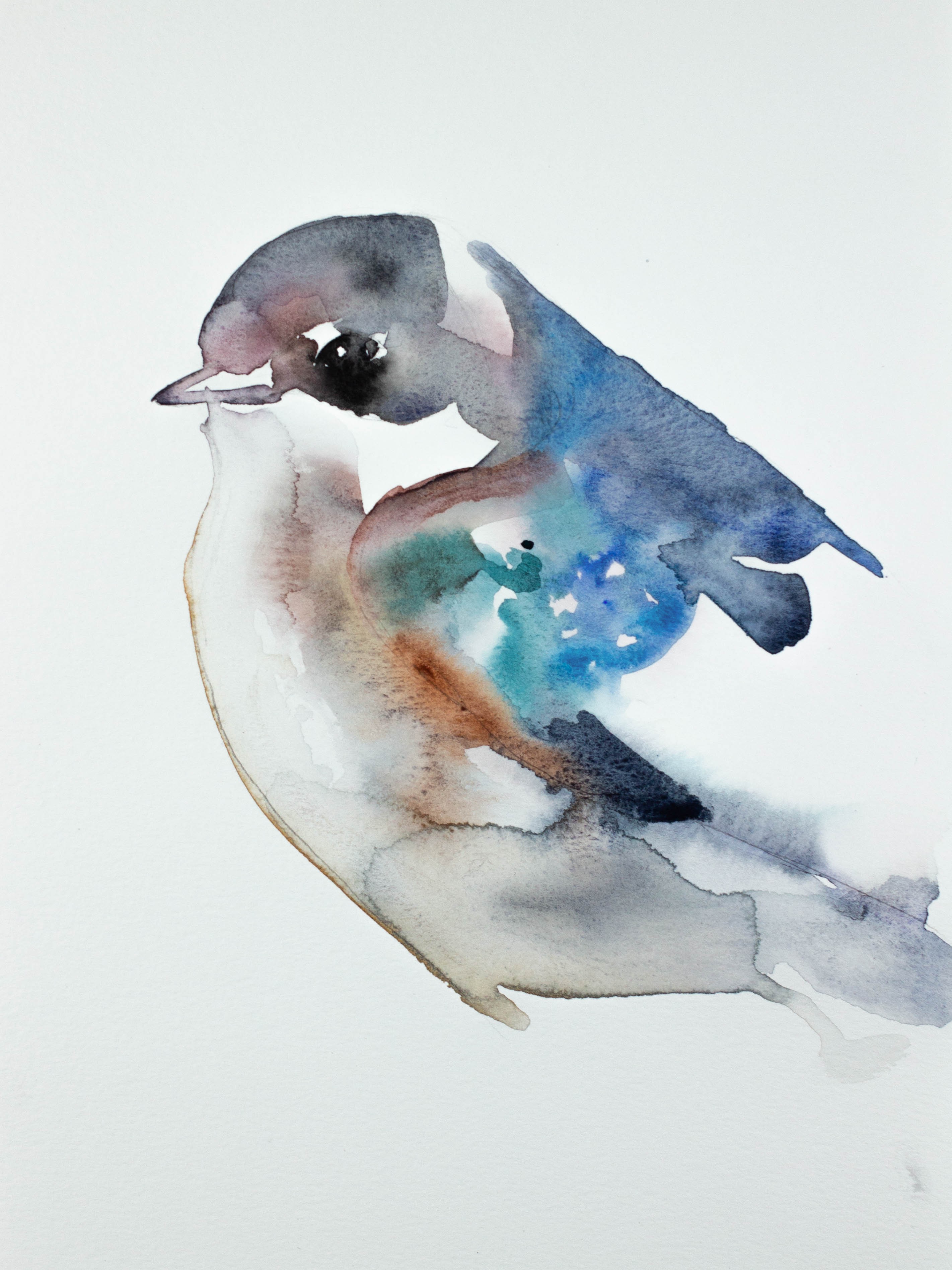 Elizabeth Becker, Swallow No. 6 Elizabeth Becker, Swallow No. 6