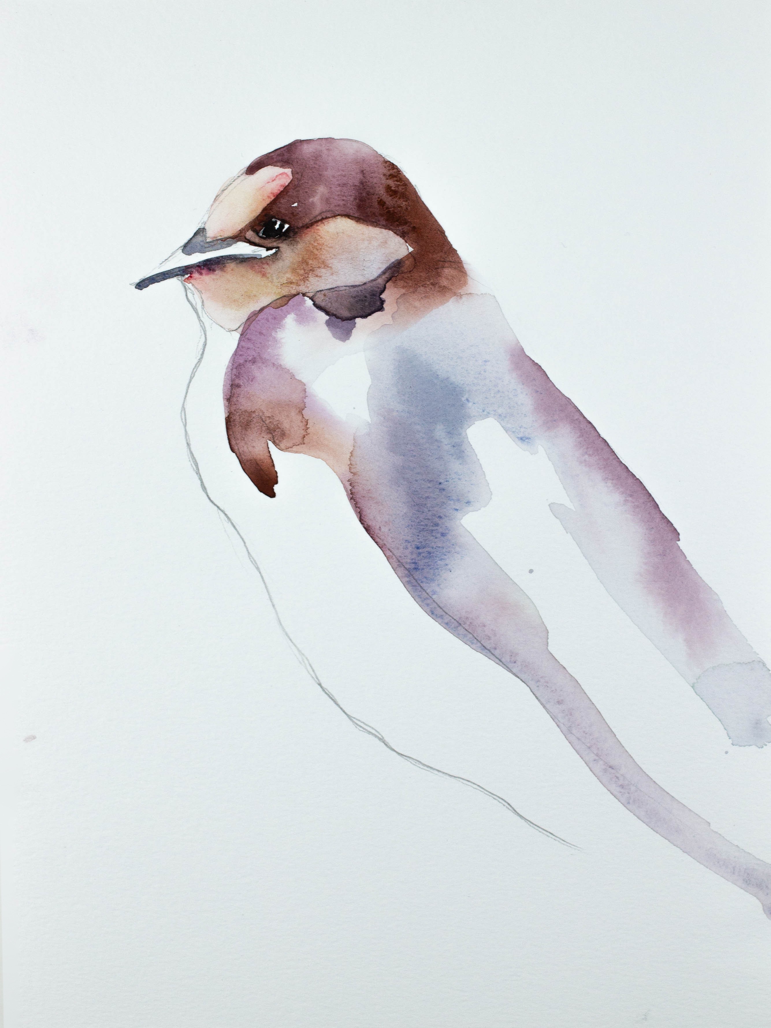Elizabeth Becker, Swallow No. 4 Elizabeth Becker, Swallow No. 4