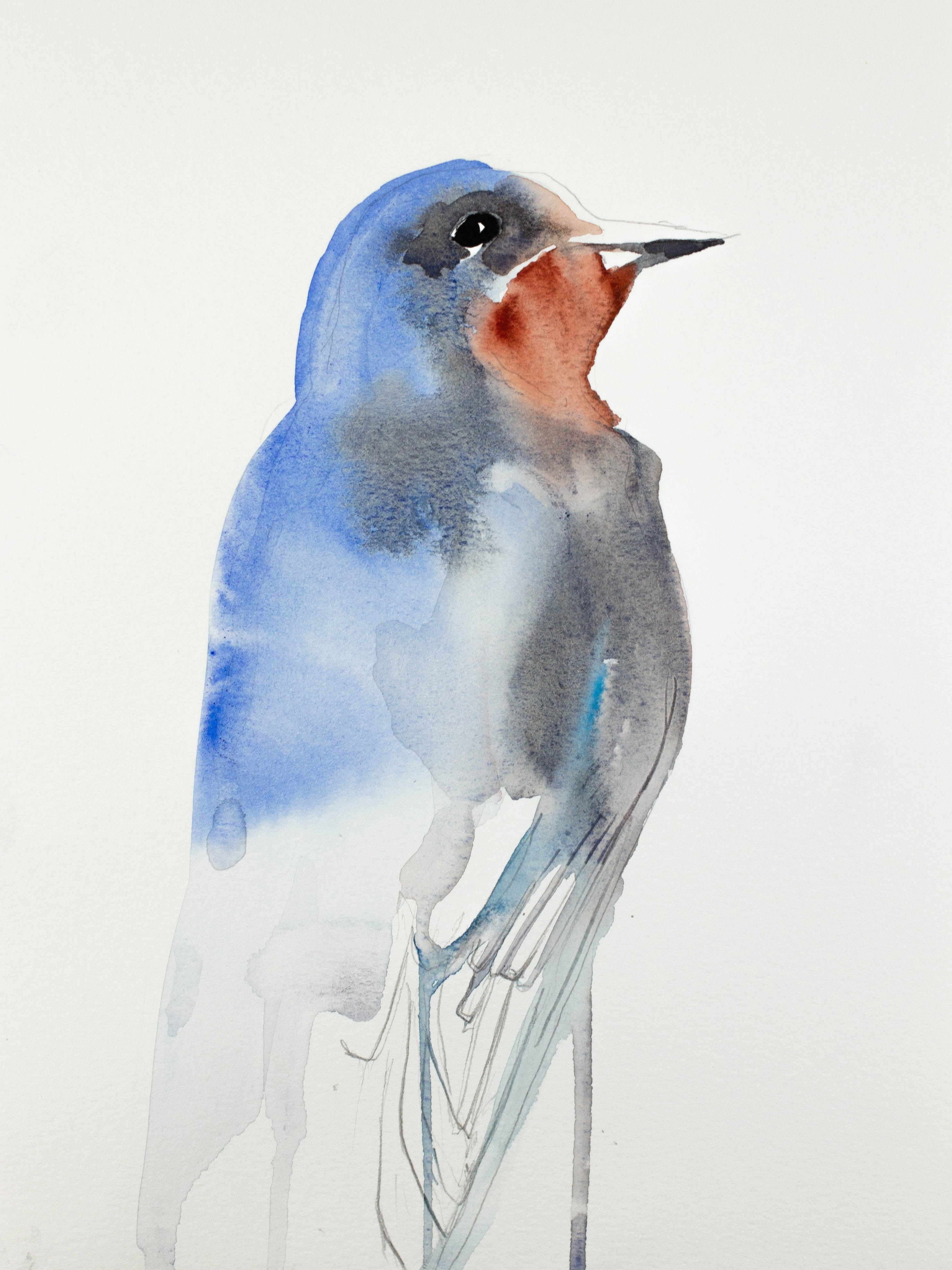 Elizabeth Becker, Swallow No. 2 Elizabeth Becker, Swallow No. 2