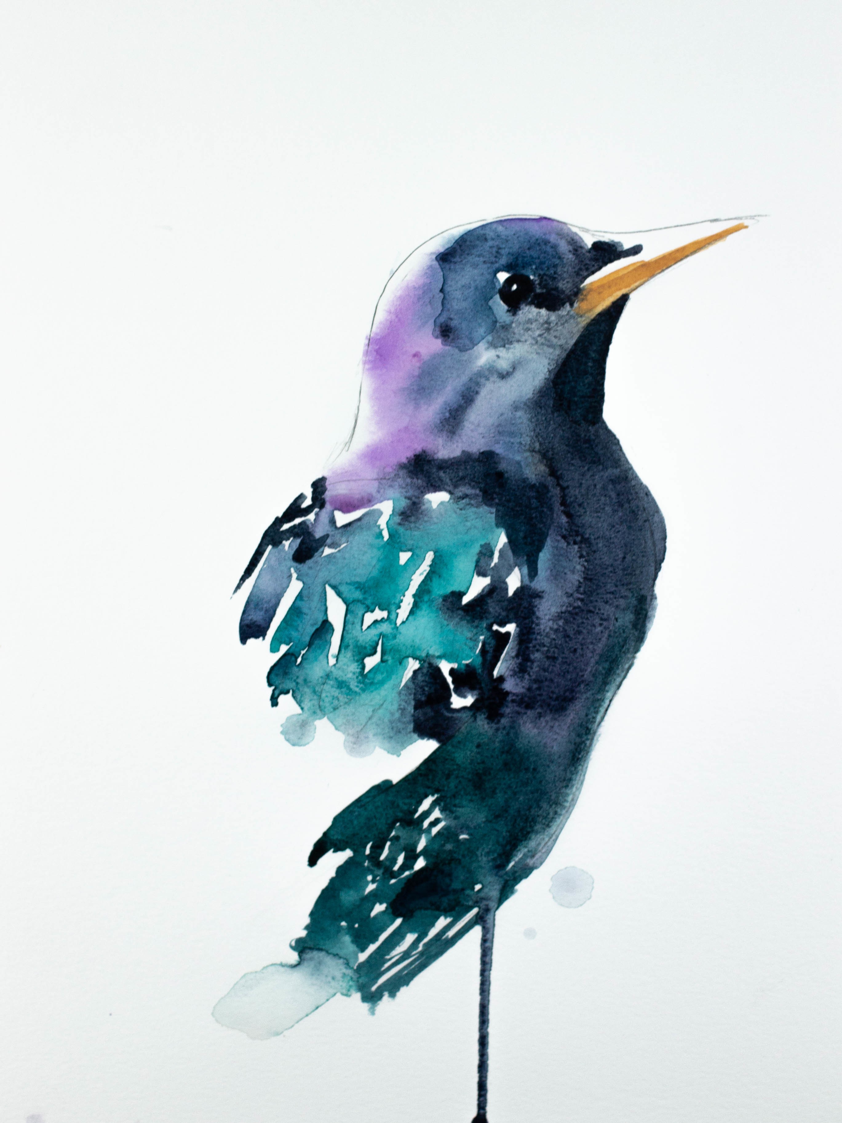 Elizabeth Becker, Starling No. 2 Elizabeth Becker, Starling No. 2