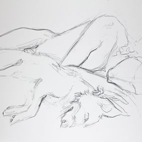 Fine Art Drawings, The Nap No. 3, Elizabeth Becker