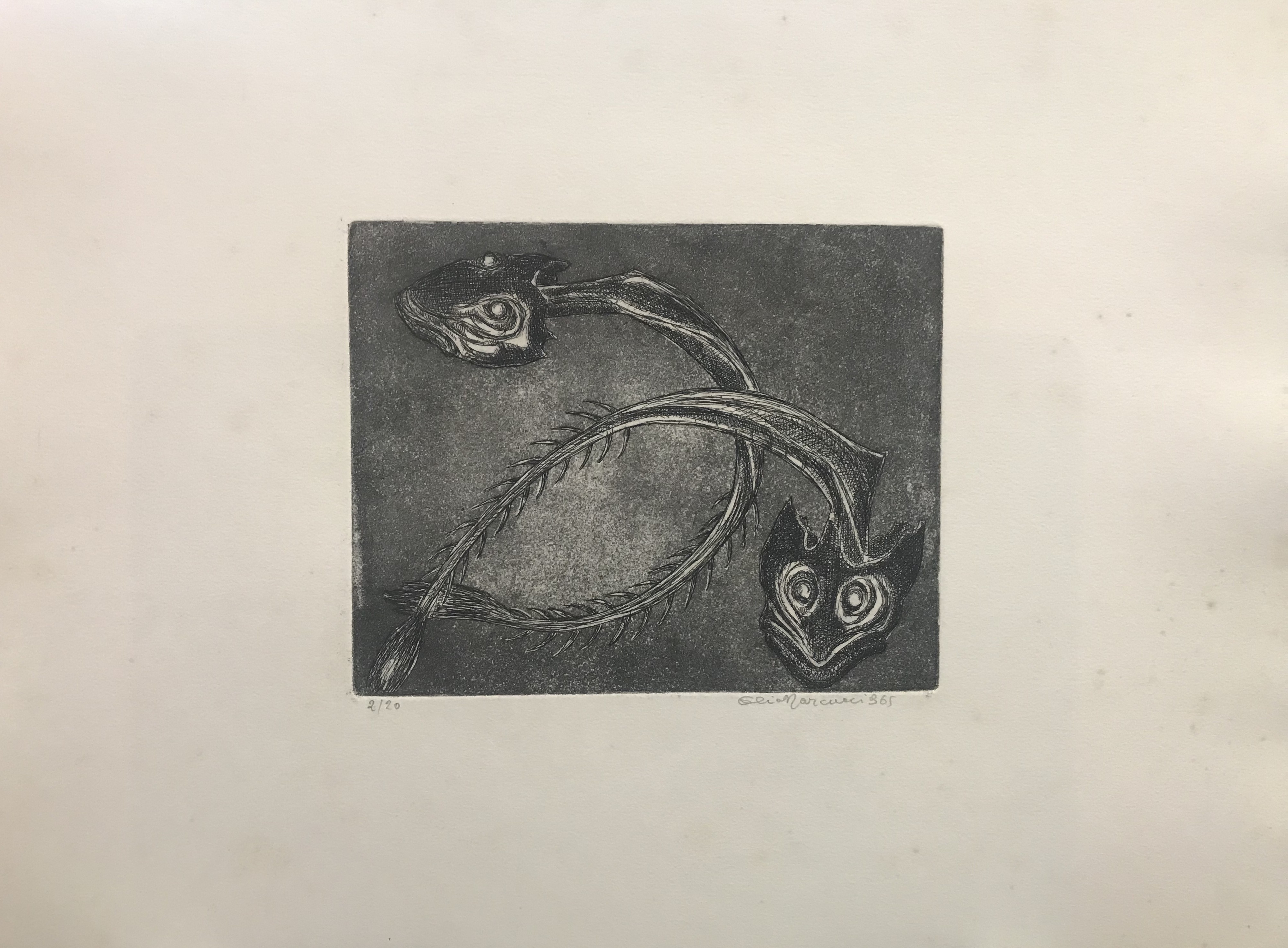 Elio Marcucci, Untitled Elio Marcucci, Untitled