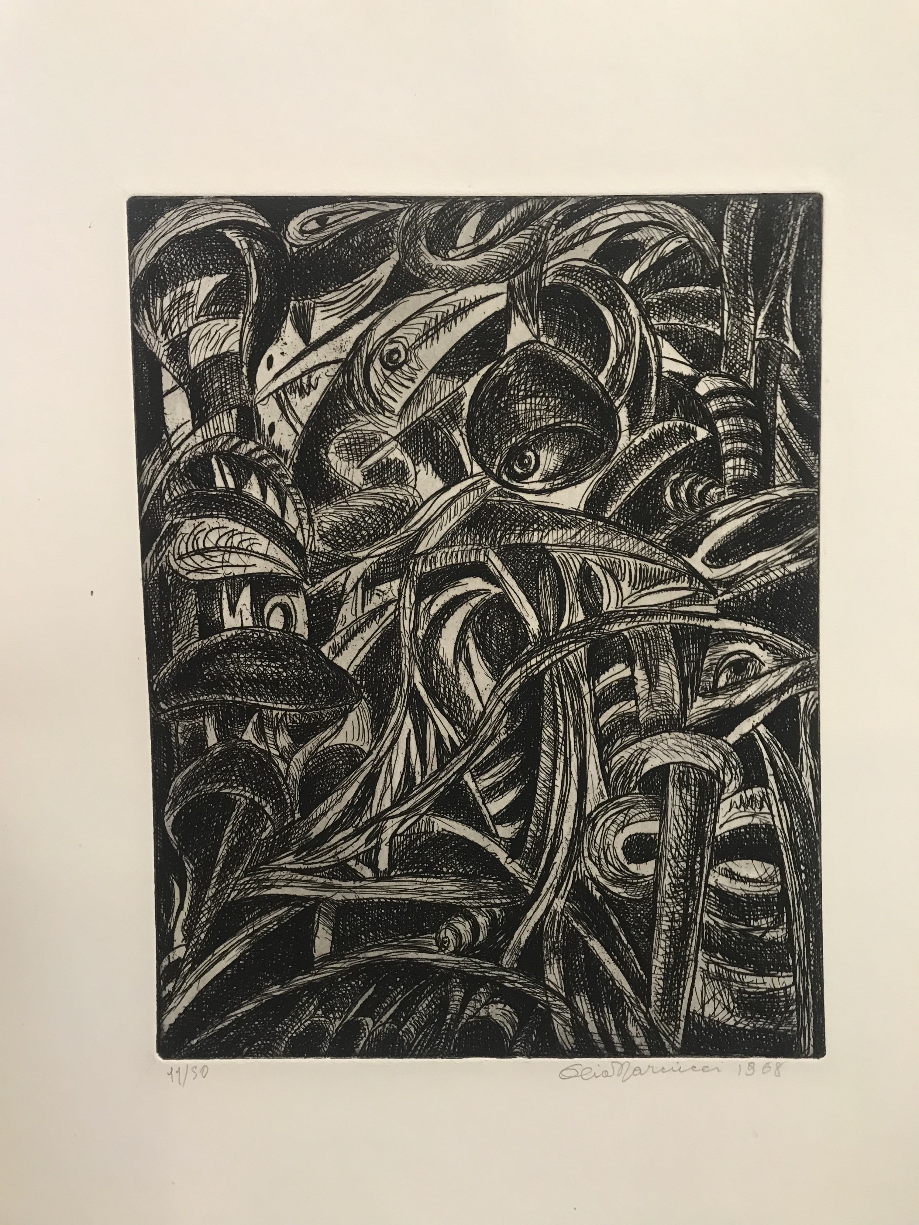 Elio Marcucci, Untitled Elio Marcucci, Untitled