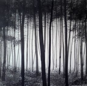 Dibujo, Forest – Filegree and Shadow Undergrown, Alvaro Petritoli