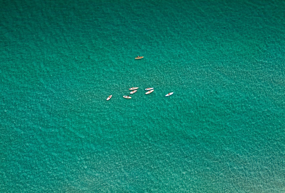 Jill Peters, Paddle Boarders Jill Peters, Paddle Boarders