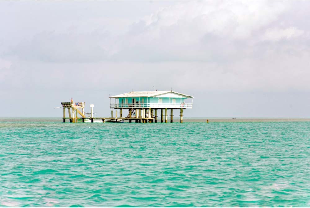 Jill Peters, Stiltsville II Jill Peters, Stiltsville II