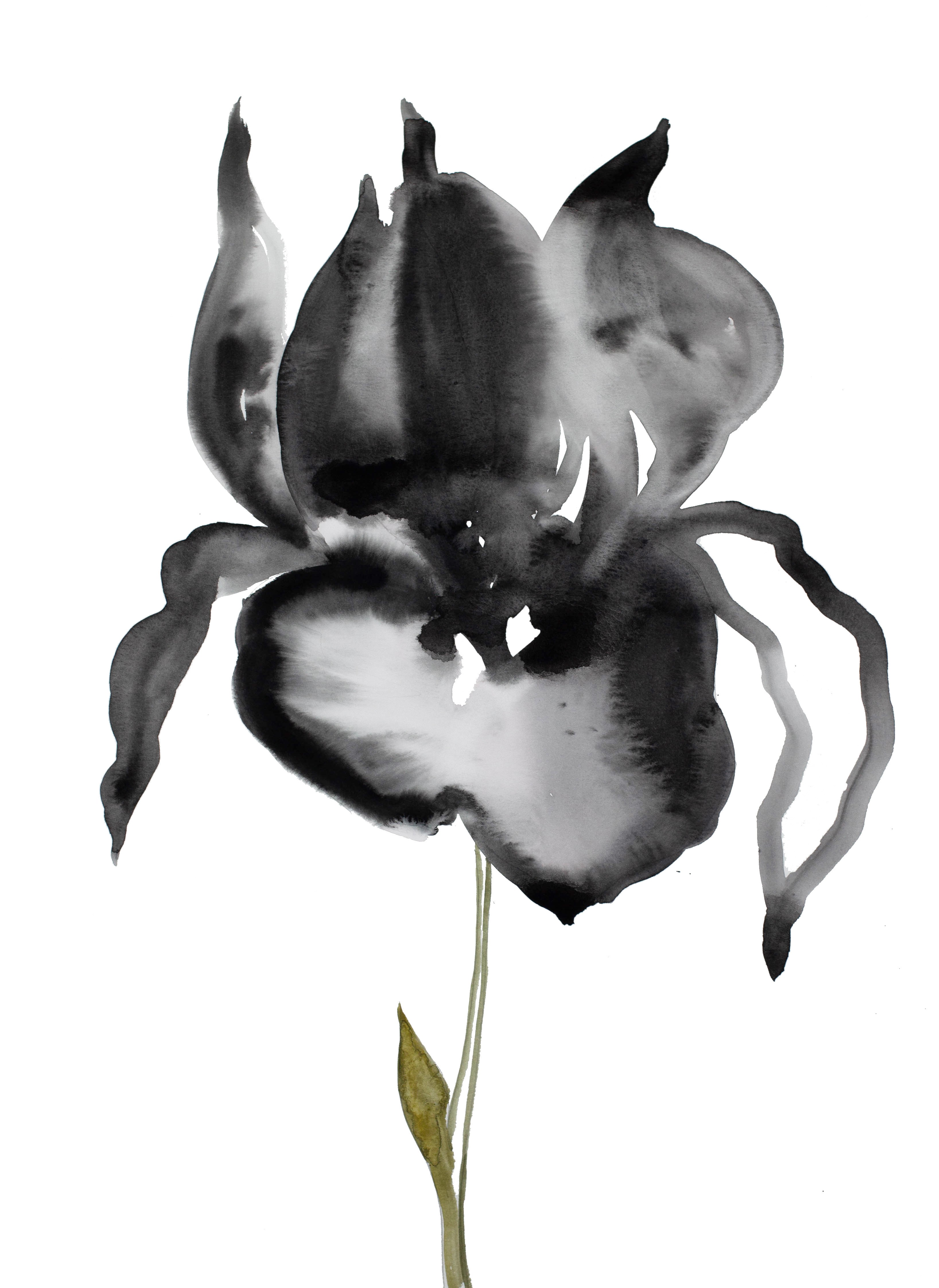Elizabeth Becker, Iris No. 55 Elizabeth Becker, Iris No. 55