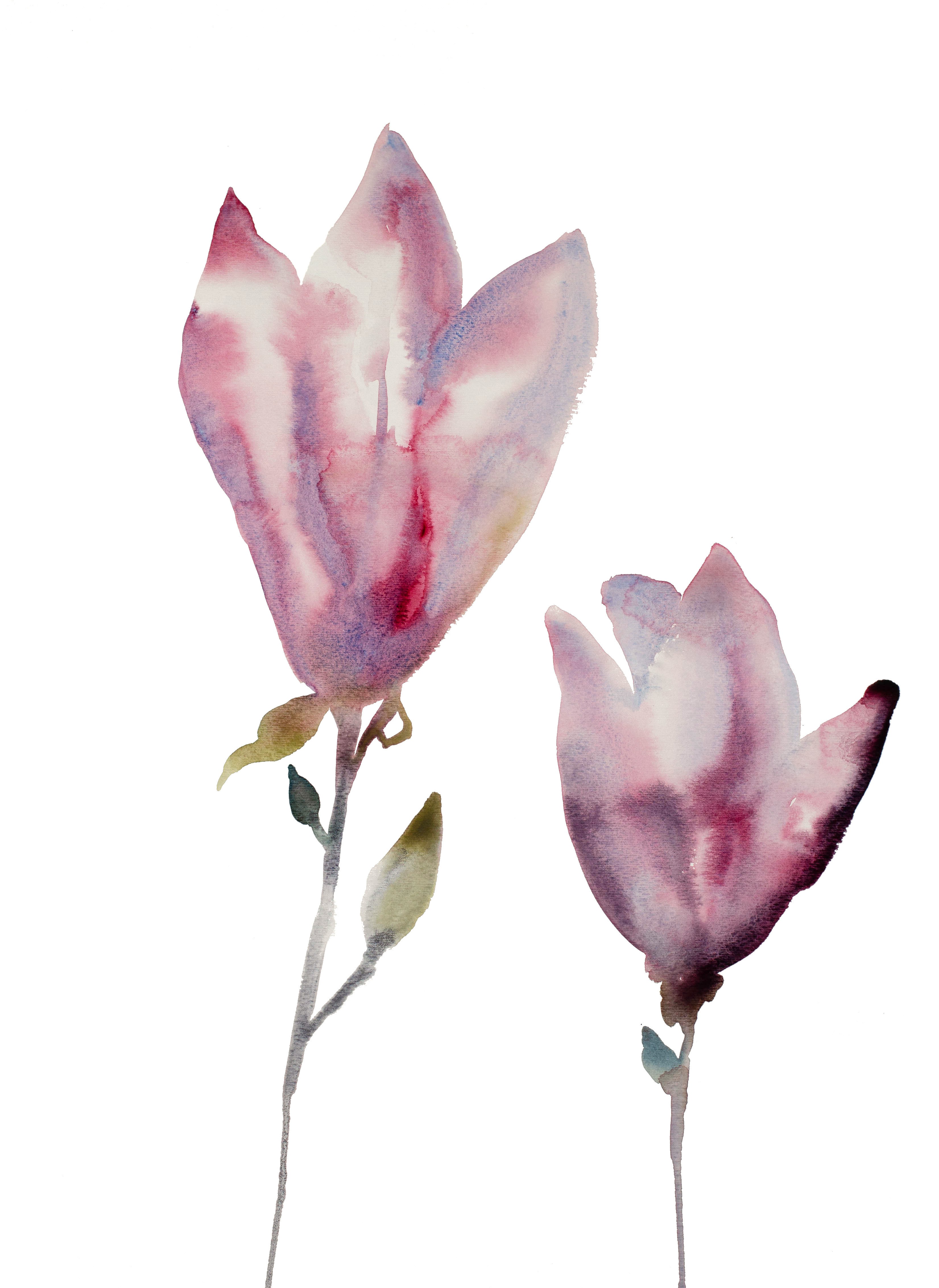 Elizabeth Becker, Magnolia No. 14 Elizabeth Becker, Magnolia No. 14