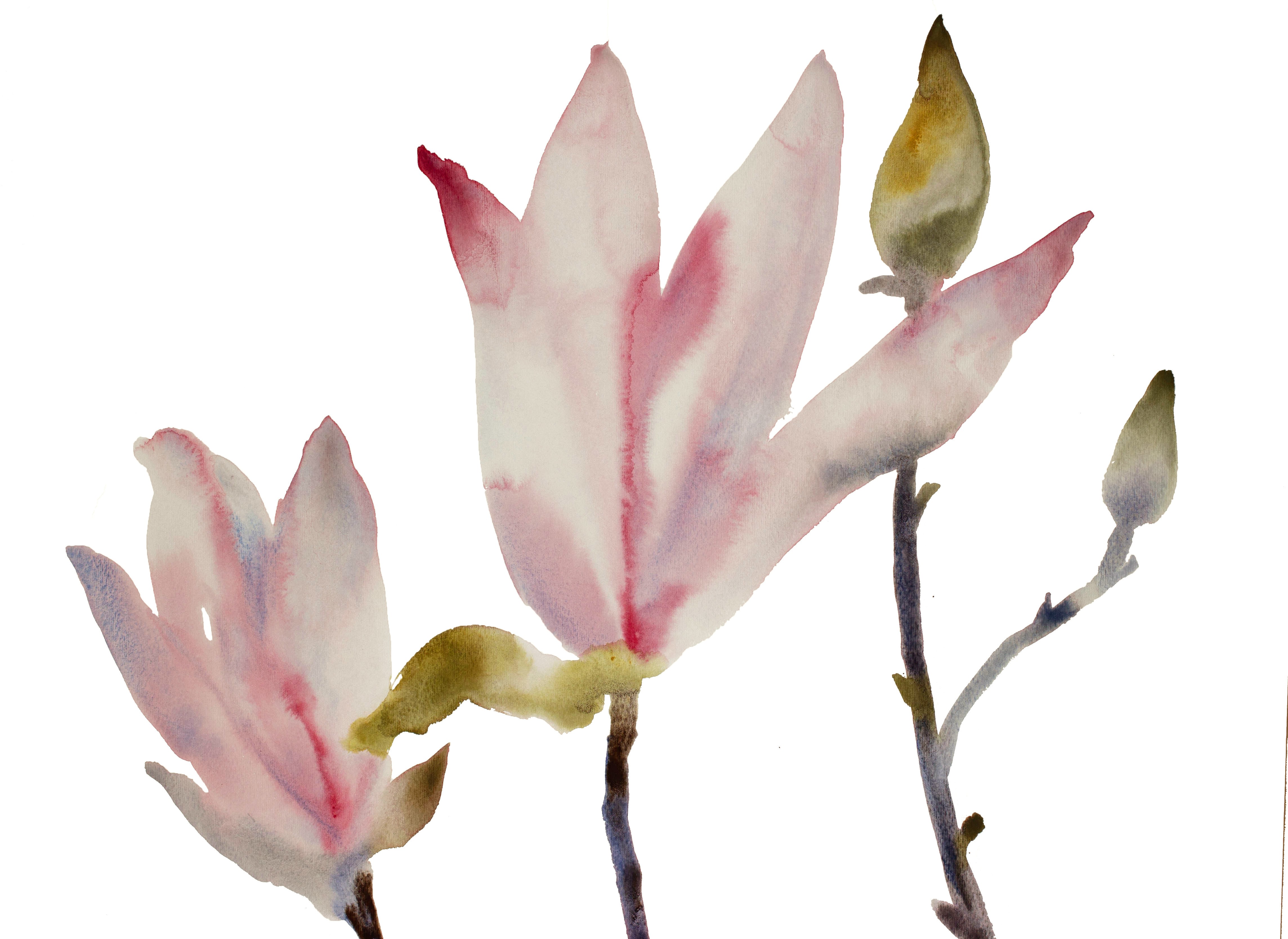 Elizabeth Becker, Magnolia No. 13 Elizabeth Becker, Magnolia No. 13