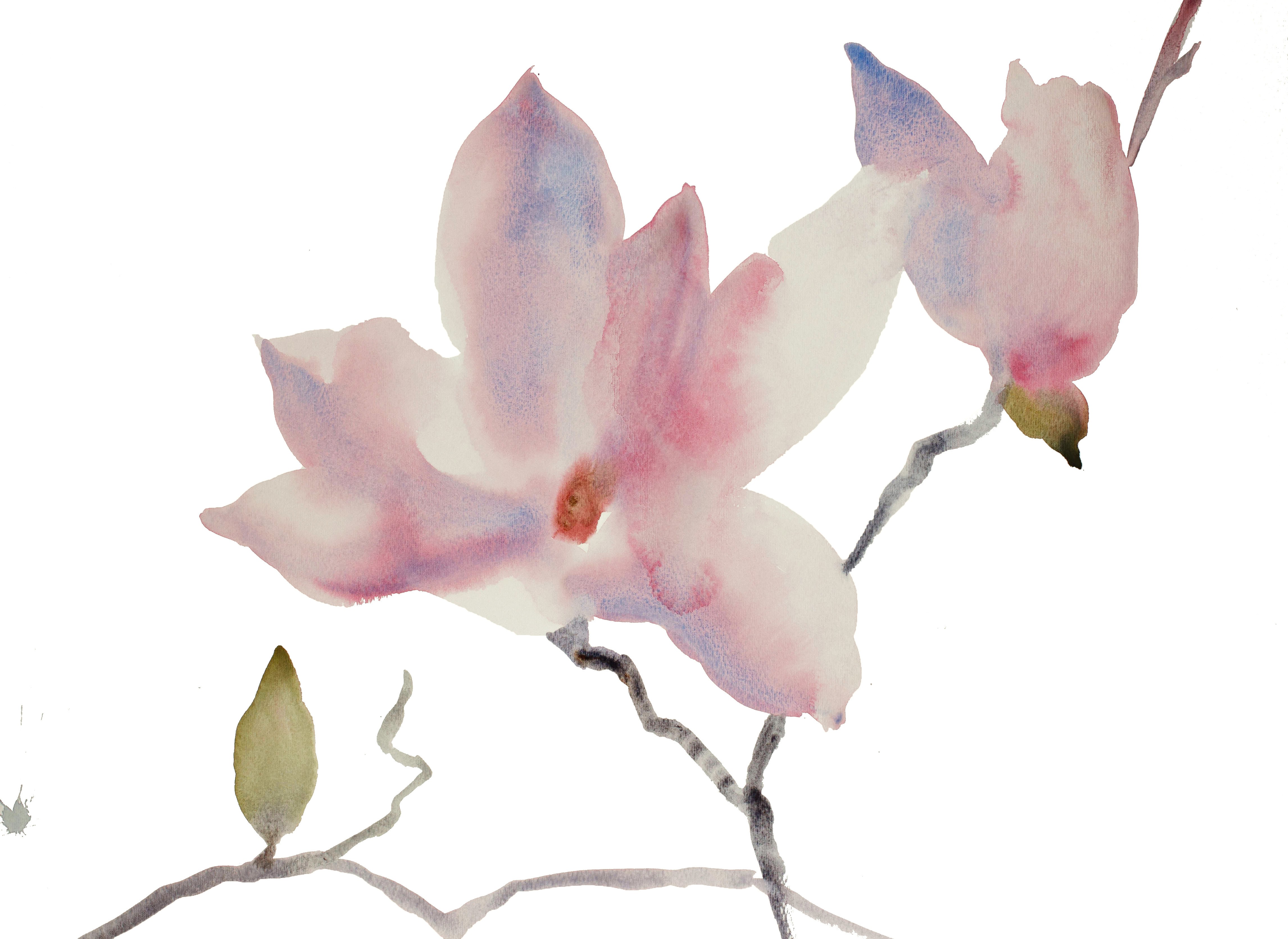 Elizabeth Becker, Magnolia No. 11 Elizabeth Becker, Magnolia No. 11