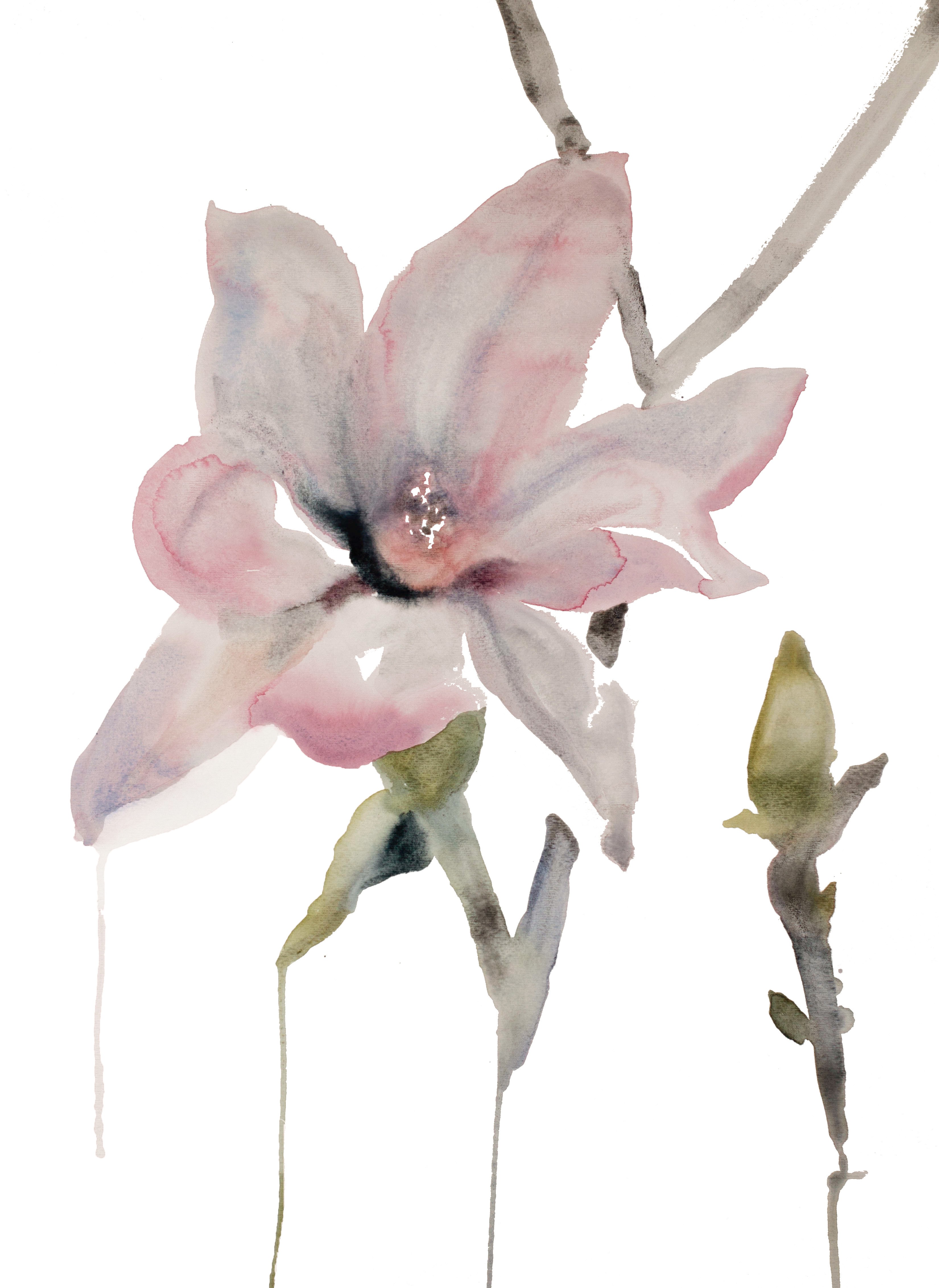 Elizabeth Becker, Magnolia No. 12 Elizabeth Becker, Magnolia No. 12