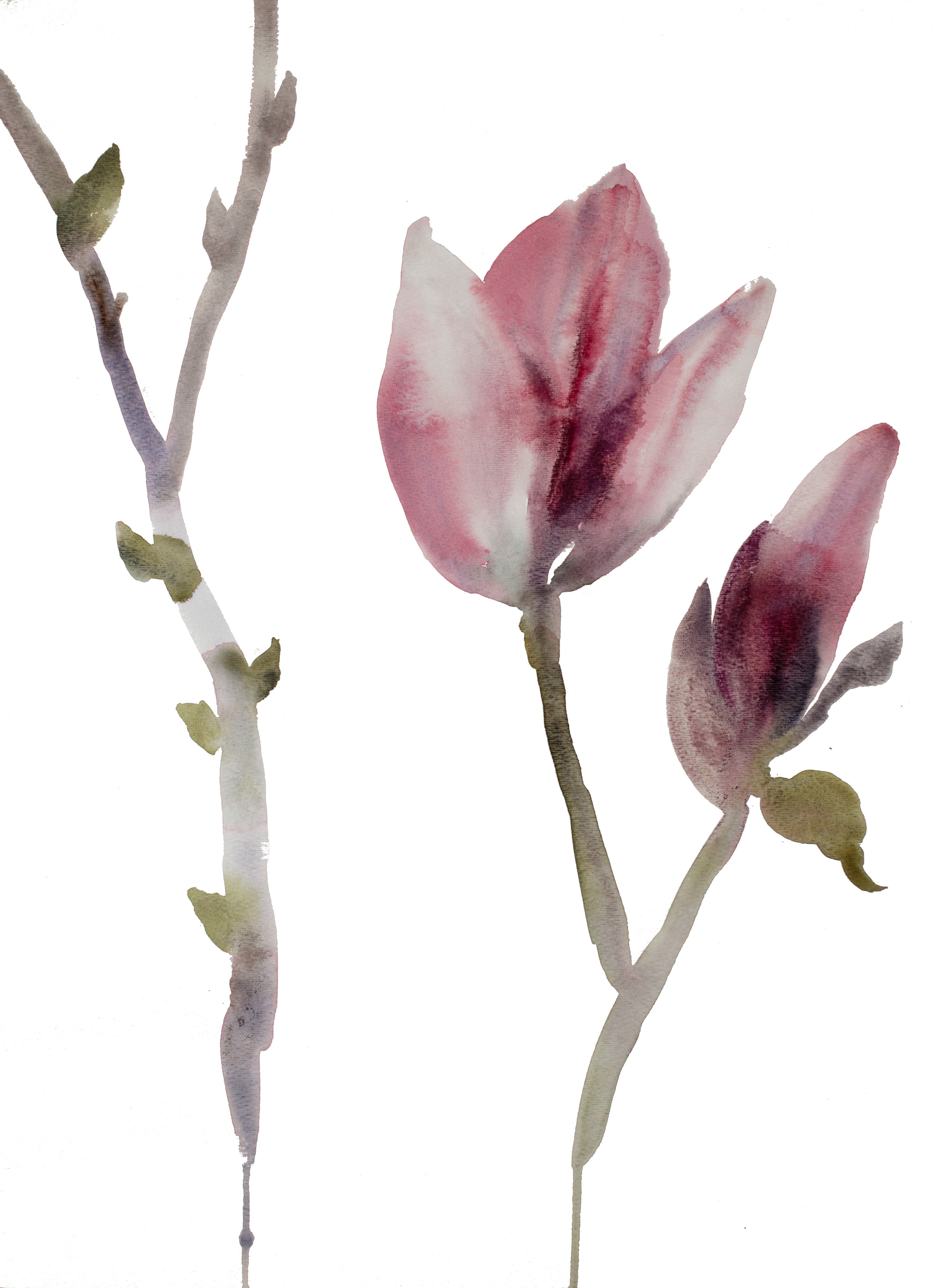 Elizabeth Becker, Magnolia No. 15 Elizabeth Becker, Magnolia No. 15