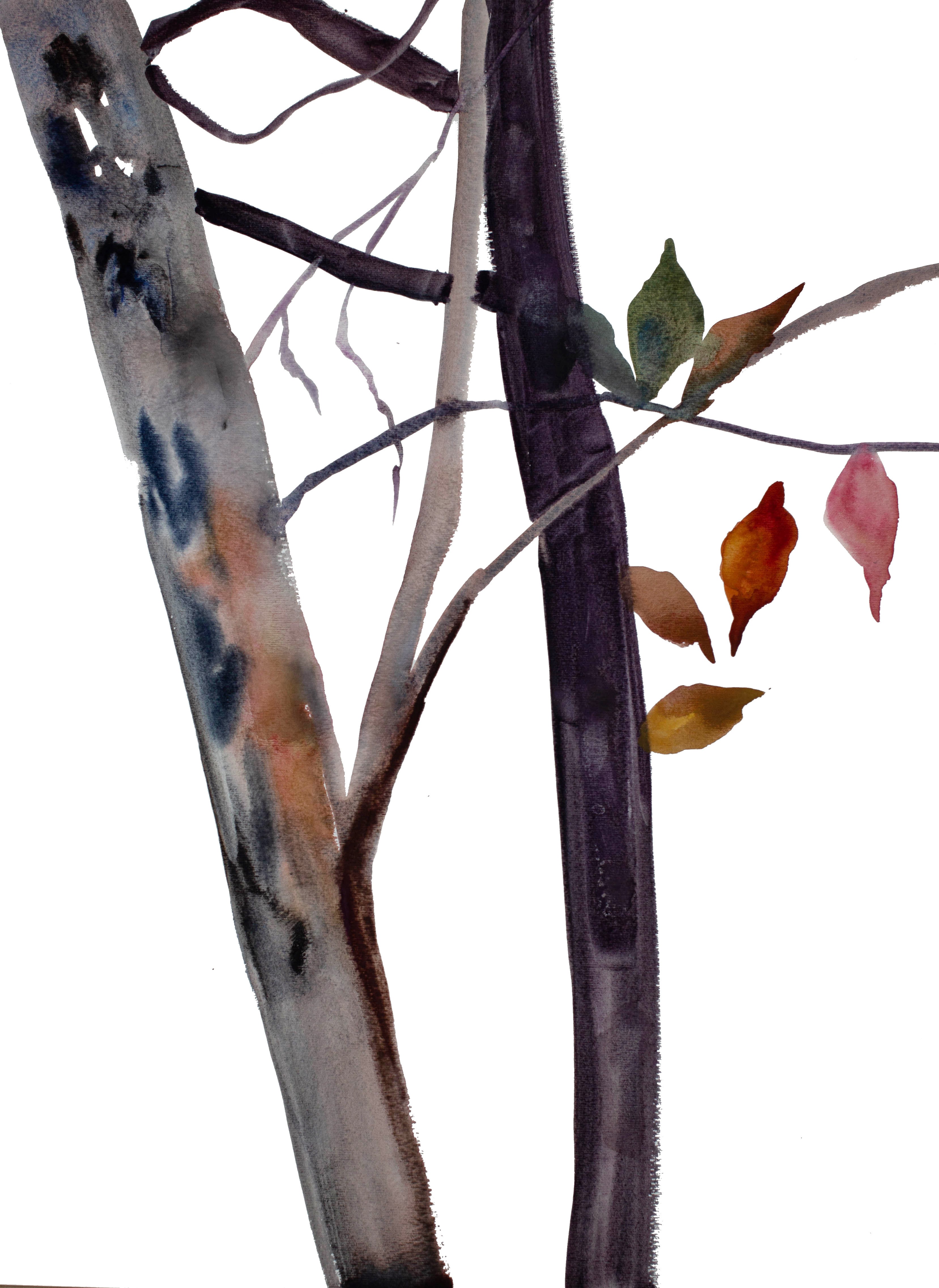 Elizabeth Becker, The Woods No. 38 Elizabeth Becker, The Woods No. 38