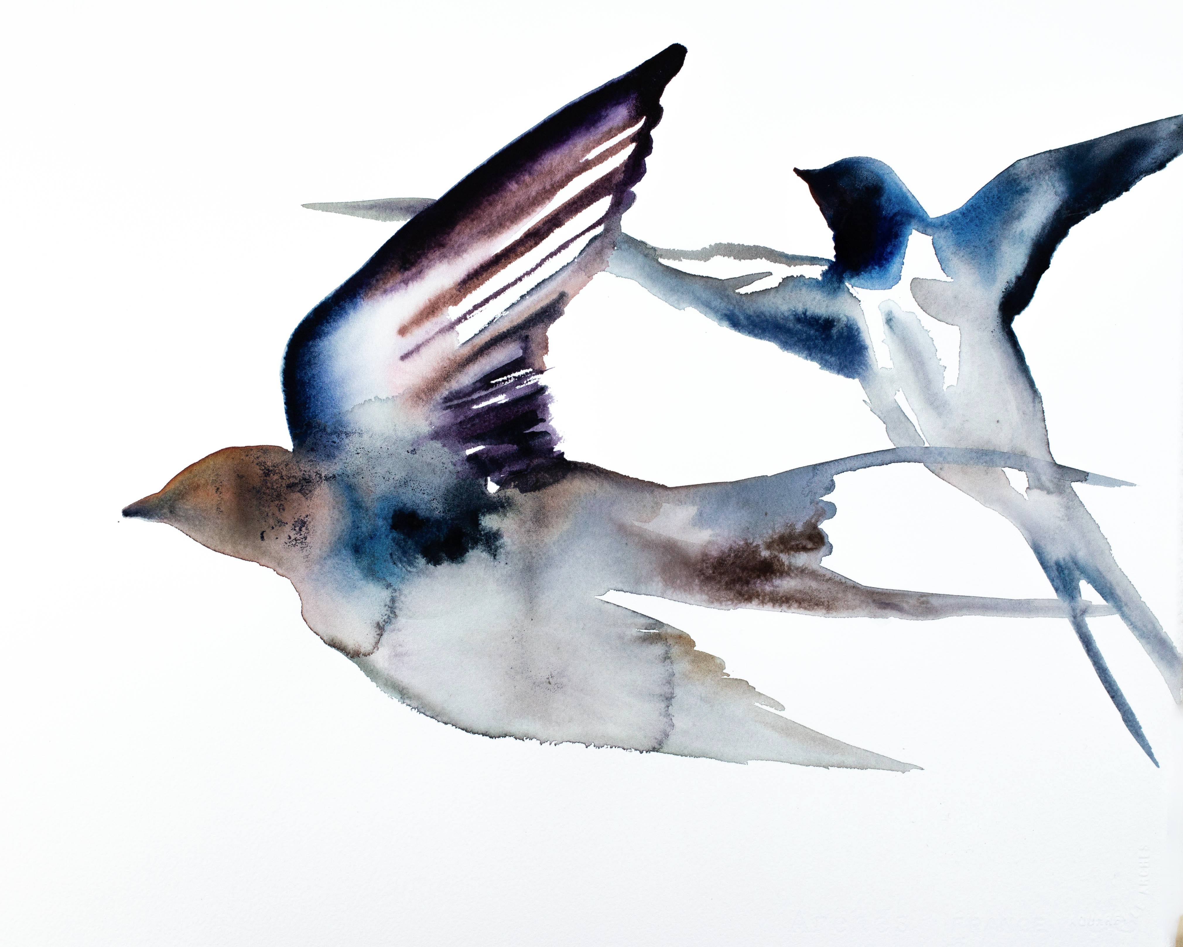 Elizabeth Becker, Swallows In Flight Elizabeth Becker, Swallows In Flight