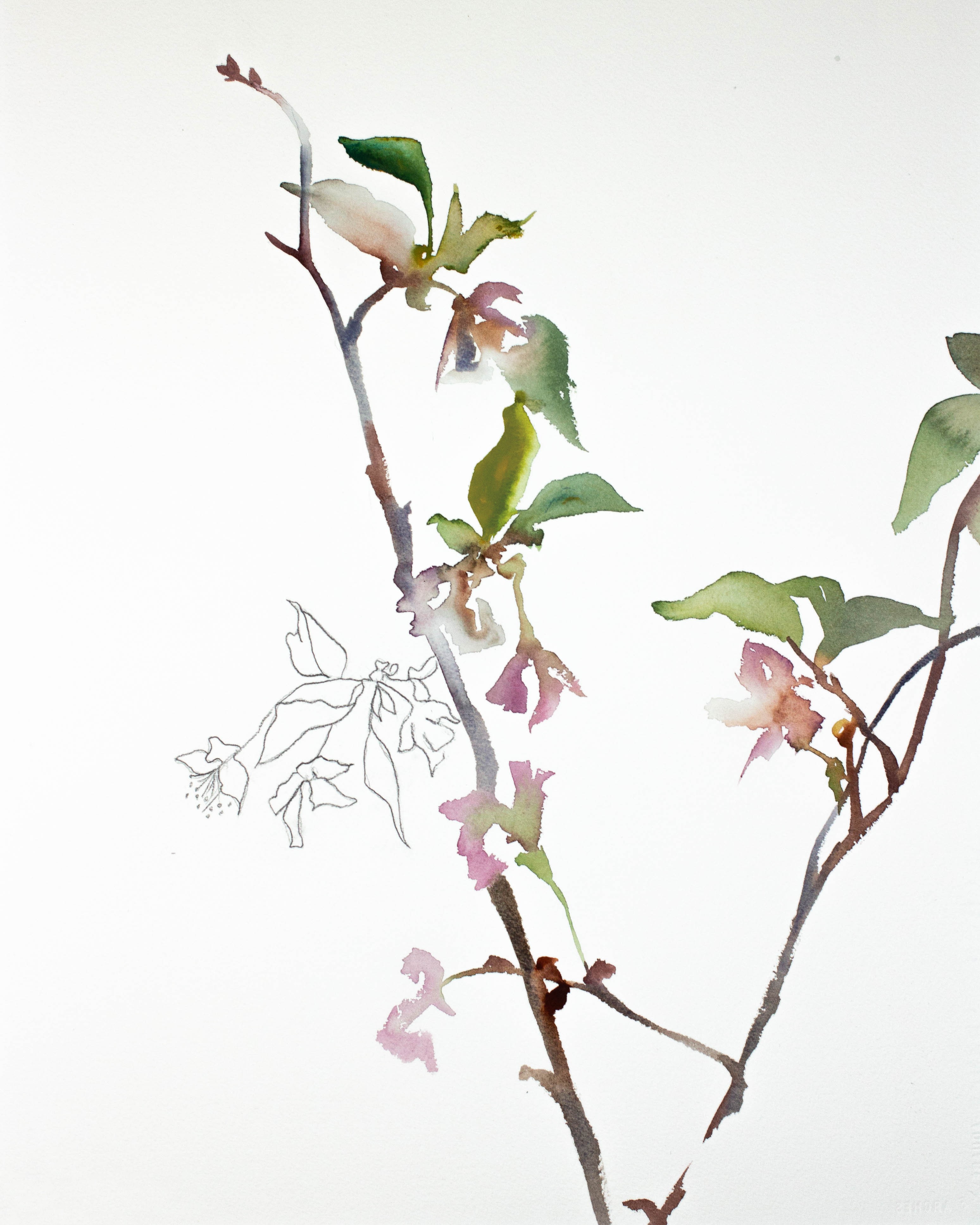 Elizabeth Becker, Cherry Blossom Elizabeth Becker, Cherry Blossom