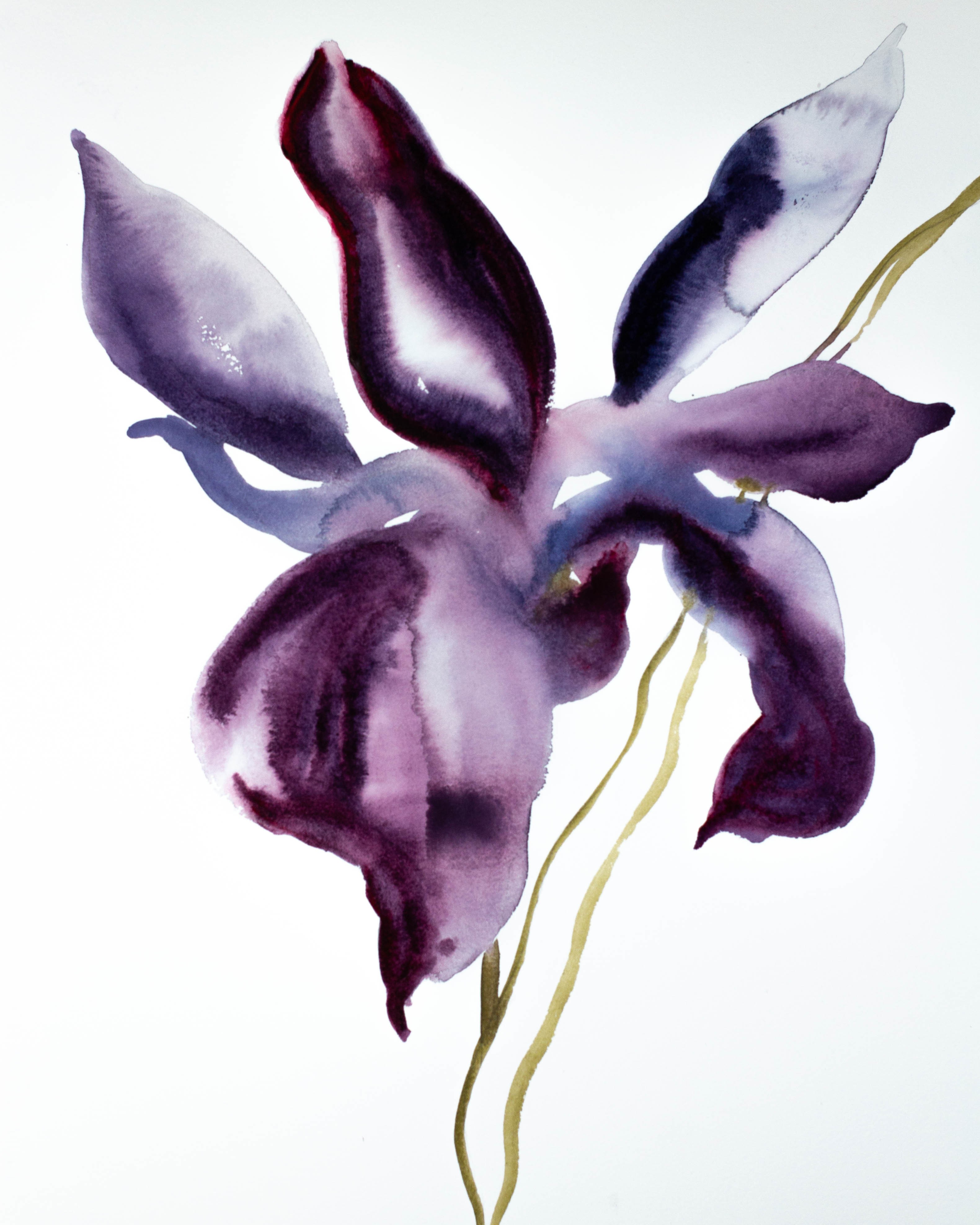 Elizabeth Becker, Iris No. 62 Elizabeth Becker, Iris No. 62