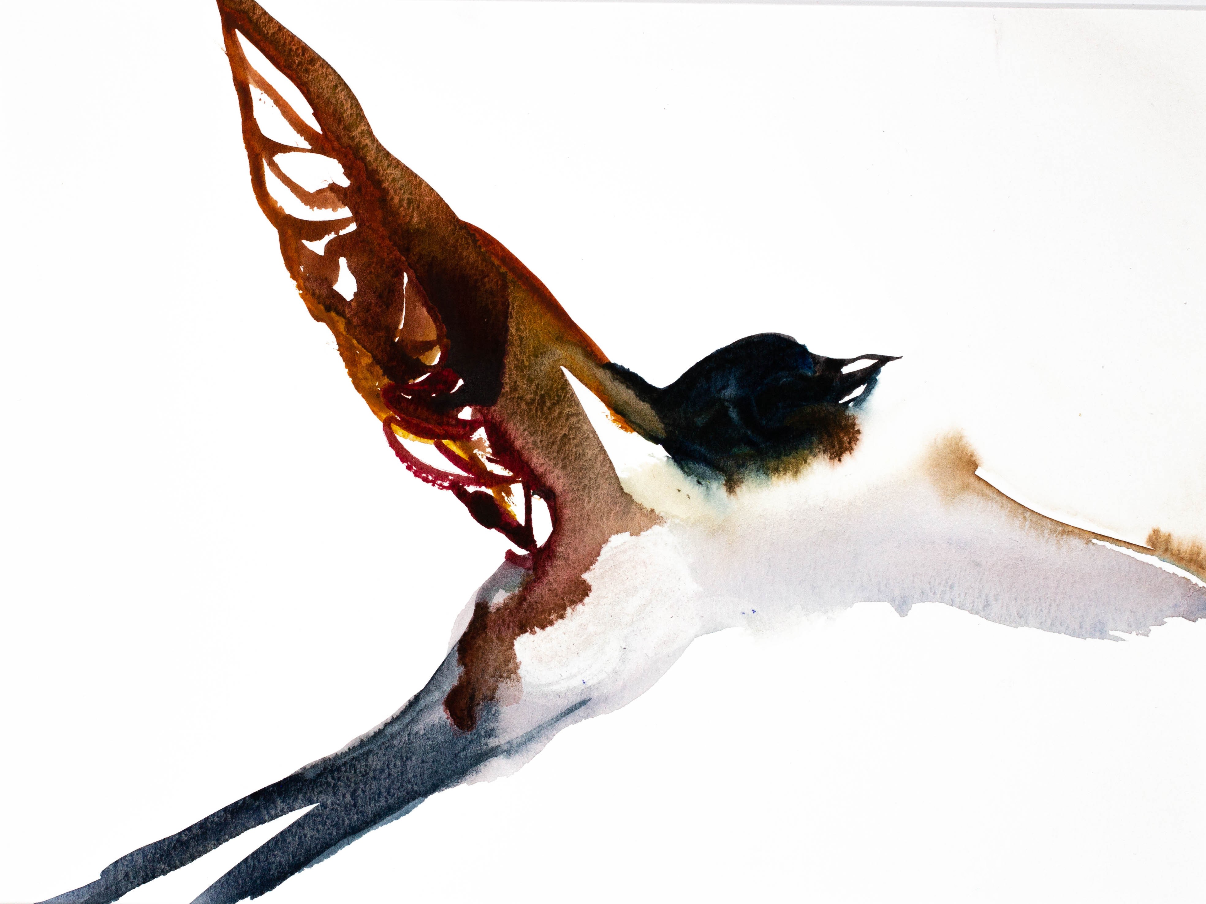 Elizabeth Becker, Swallow Elizabeth Becker, Swallow