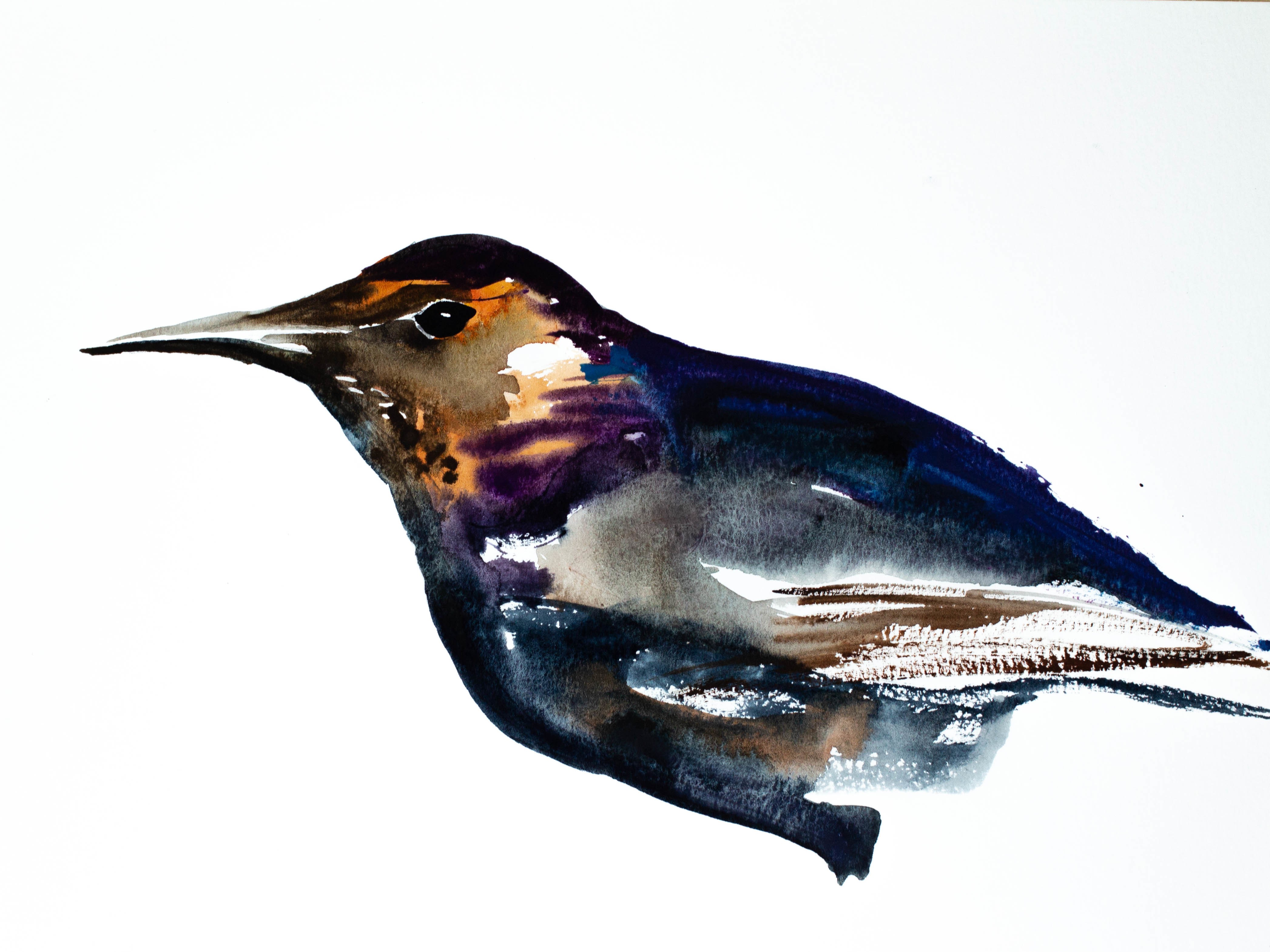 Elizabeth Becker, Grackle Elizabeth Becker, Grackle