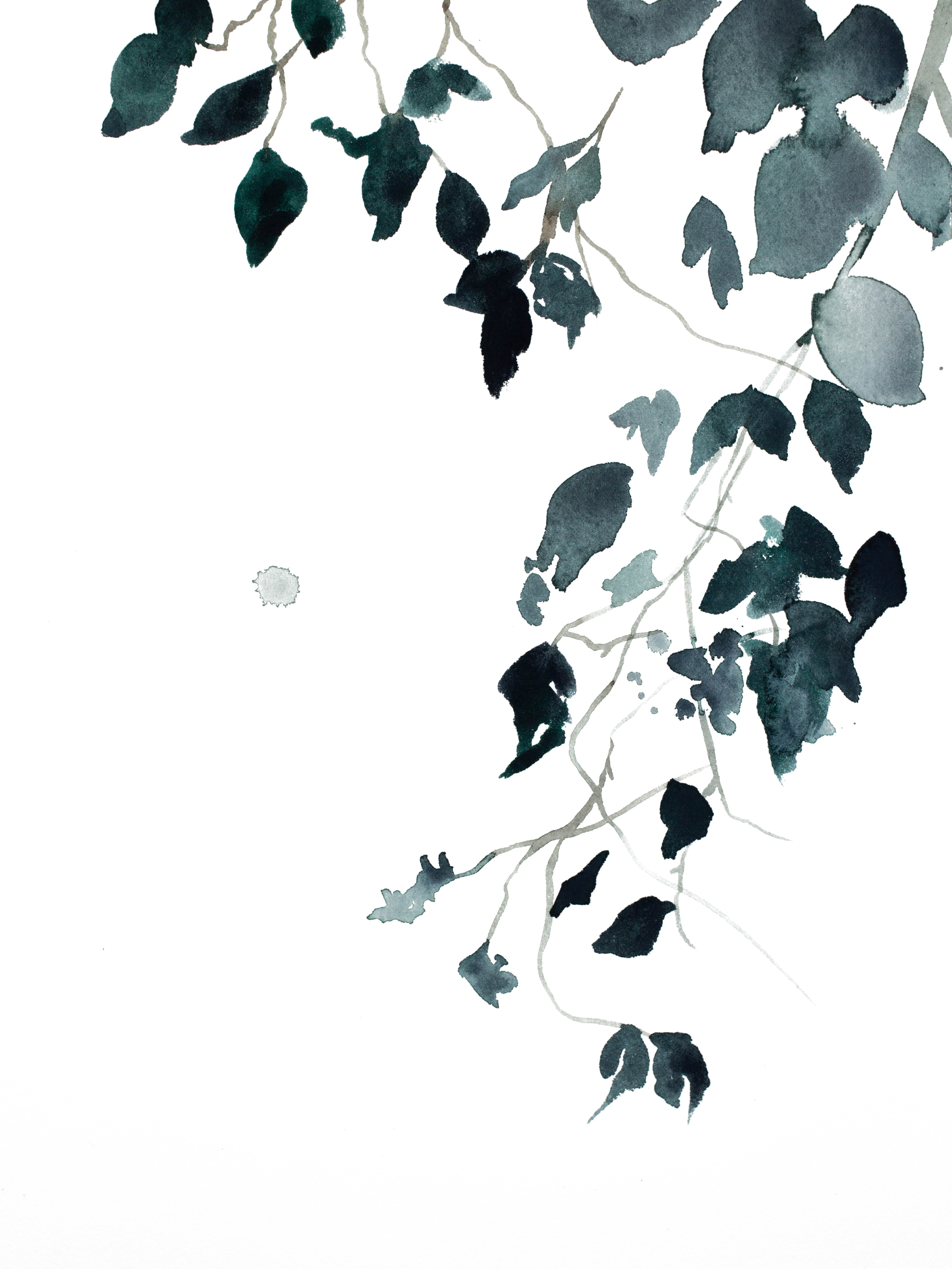 Elizabeth Becker, Branch Study No. 8 Elizabeth Becker, Branch Study No. 8