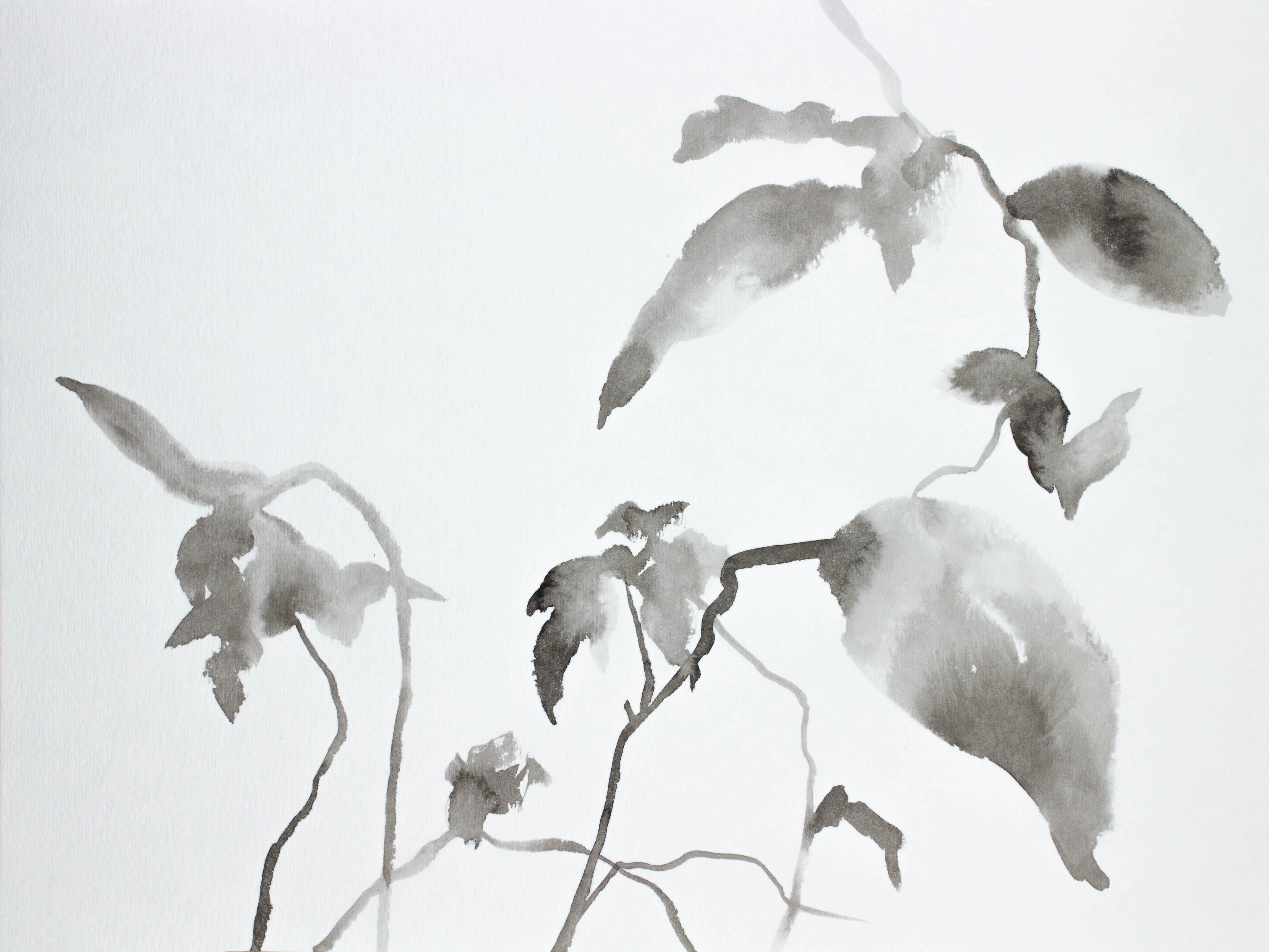 Elizabeth Becker, Plant Study No. 17 Elizabeth Becker, Plant Study No. 17