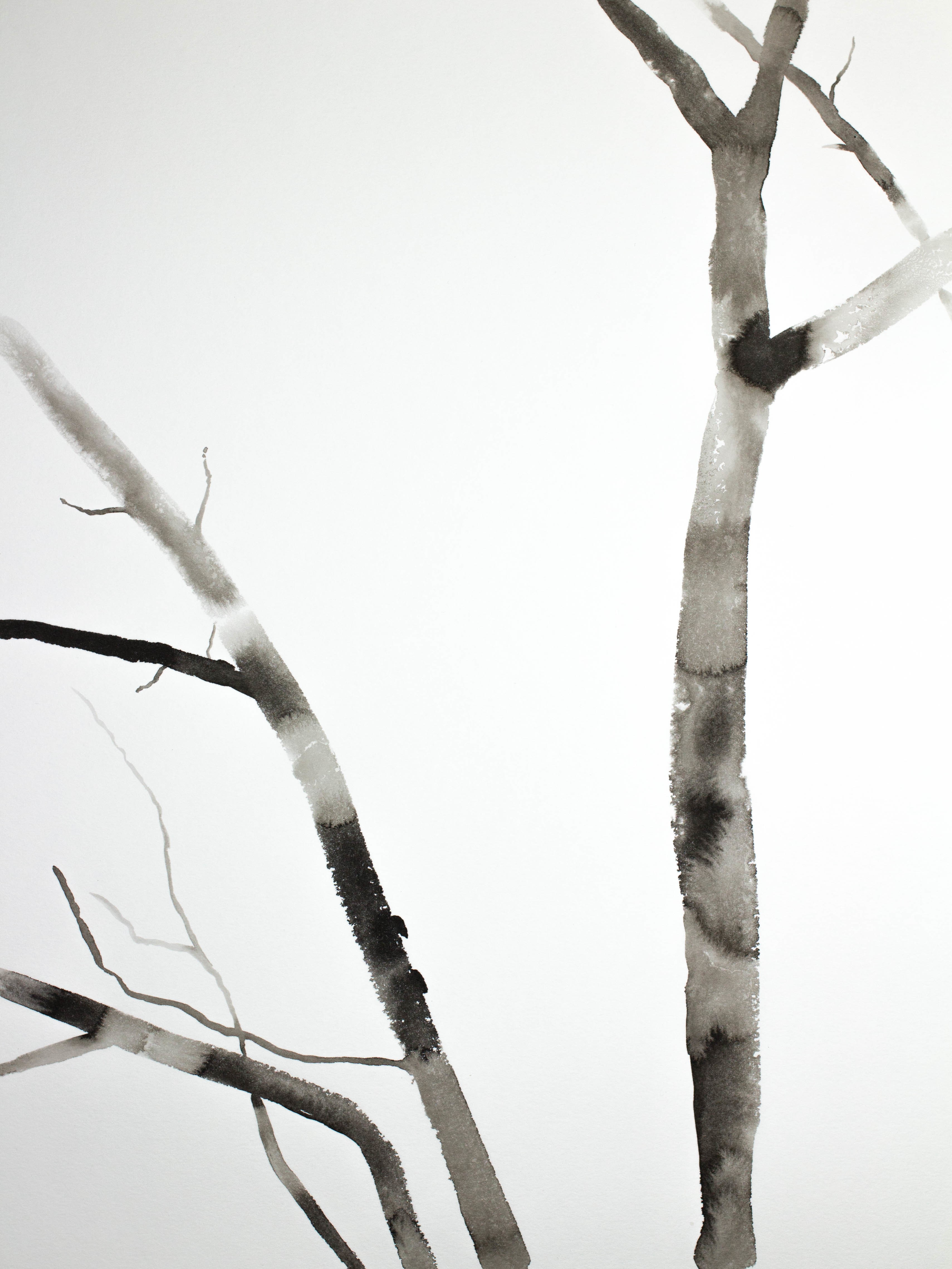 Elizabeth Becker, Barren No. 2 Elizabeth Becker, Barren No. 2