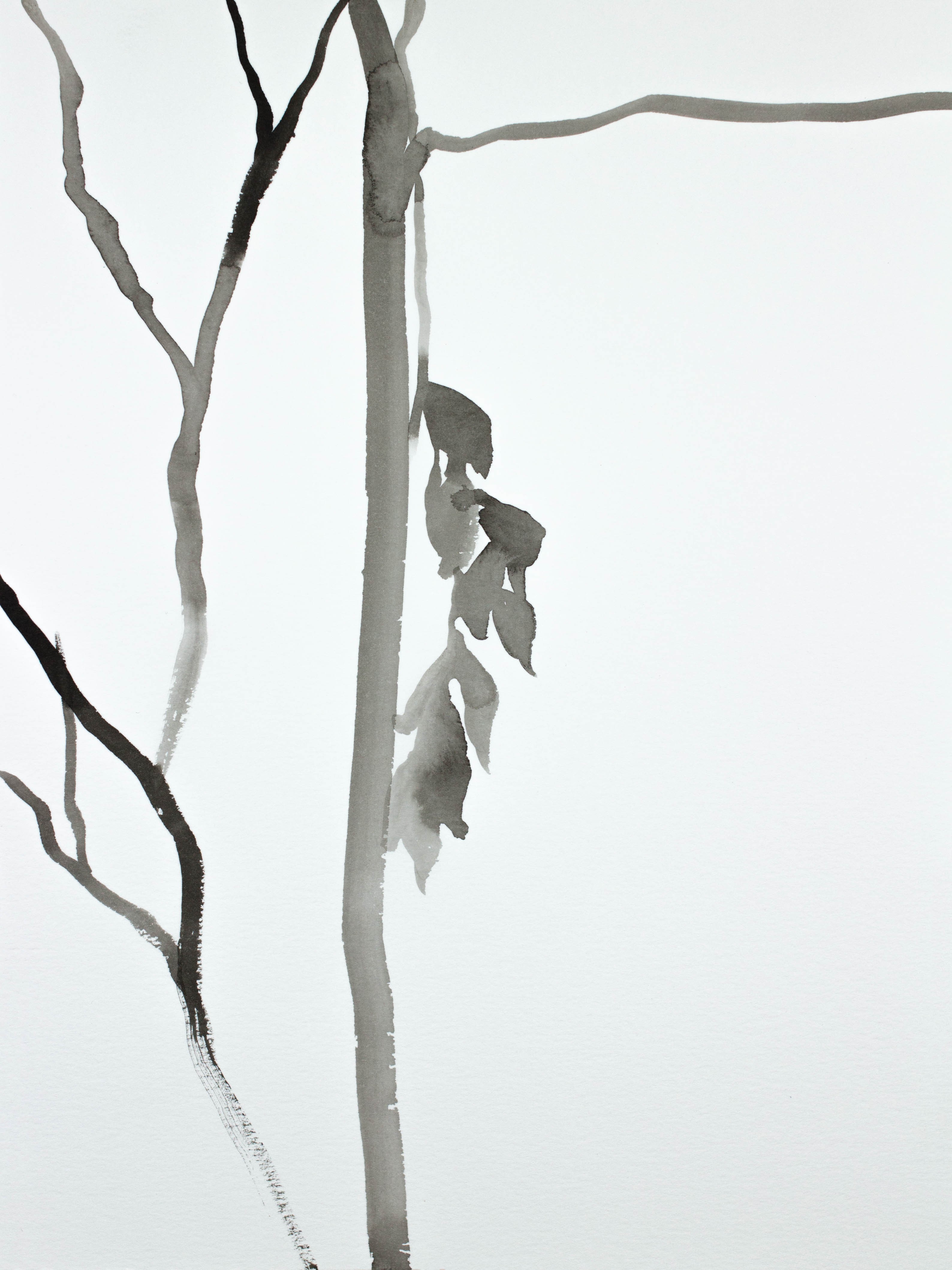 Elizabeth Becker, Meditation No. 7 Elizabeth Becker, Meditation No. 7