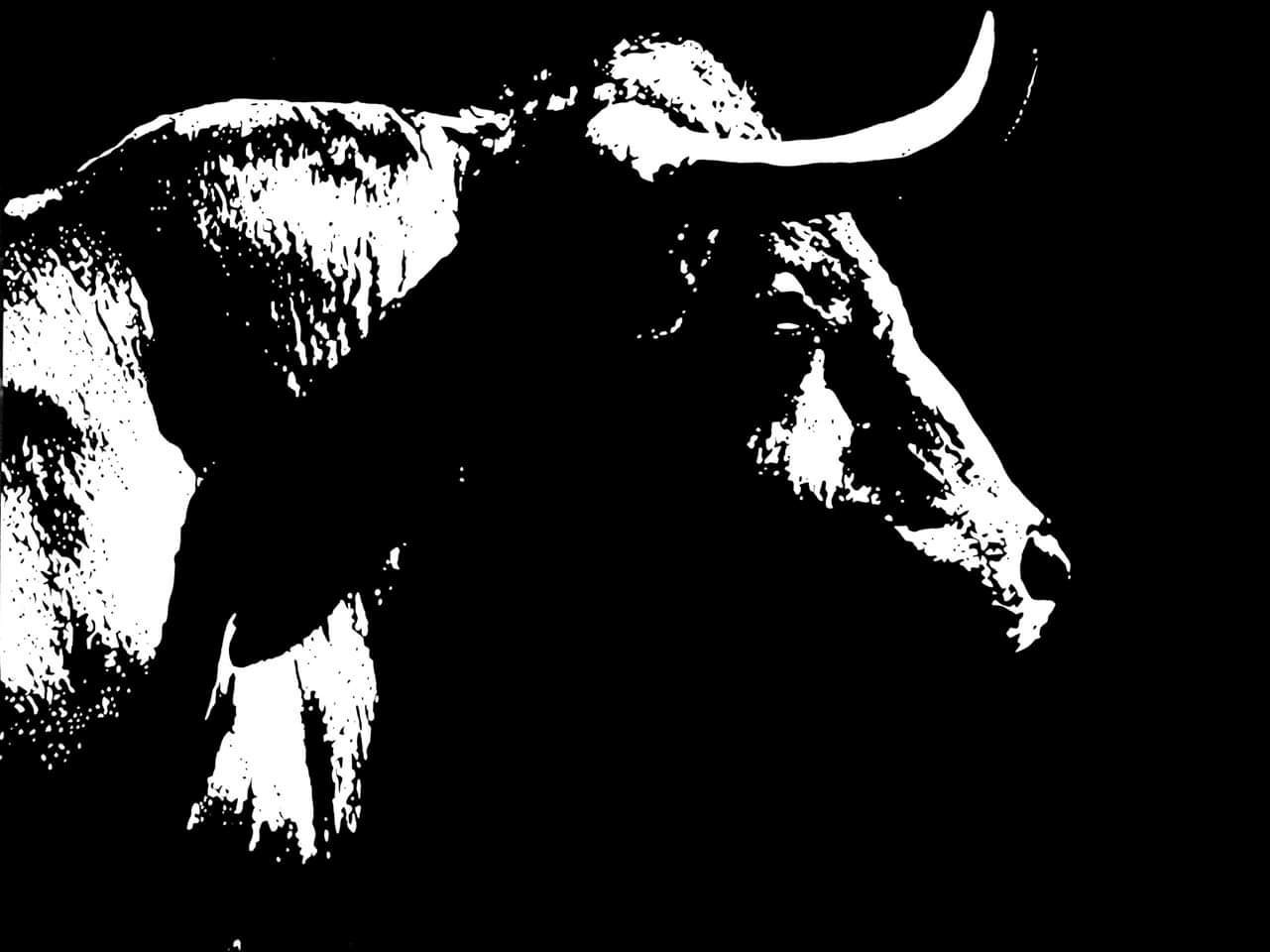 Jérémy Le Mouël (Mooven’s), Taureau Jérémy Le Mouël (Mooven’s), Taureau
