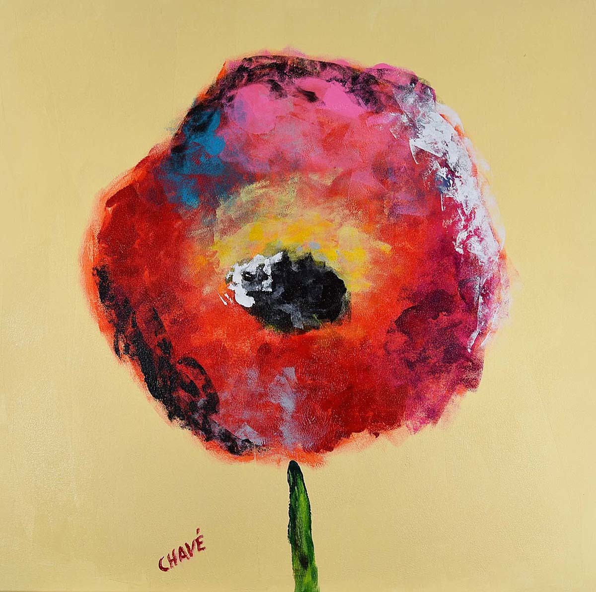 Chavé, Coquelicot Chavé, Coquelicot