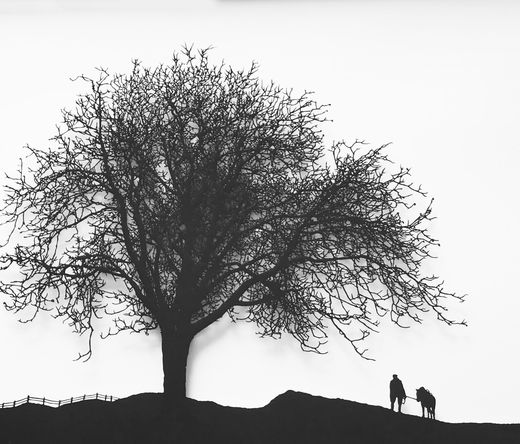Gaby Studer