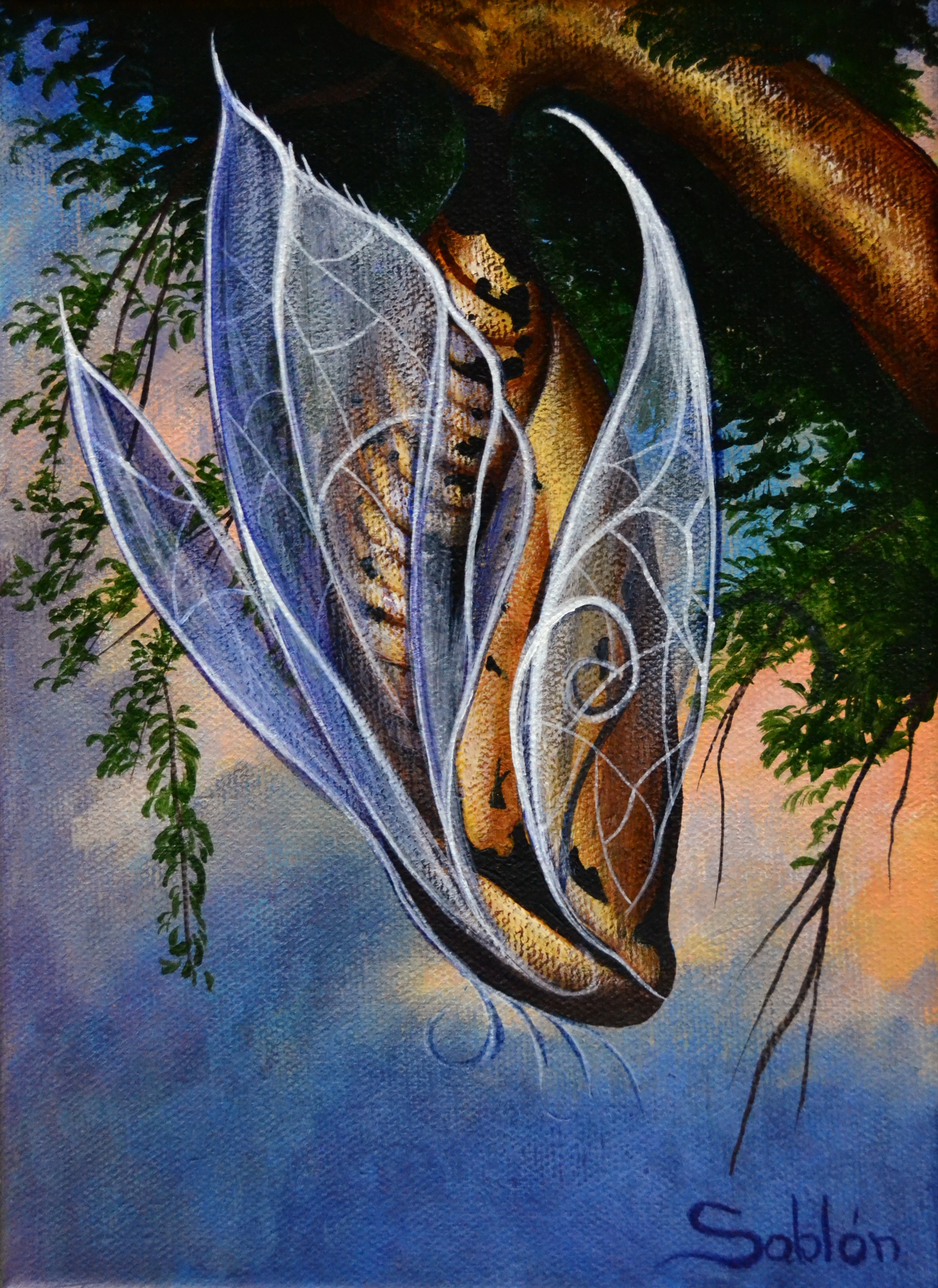 Carlos Antonio Sablon Perez, Metamorphosis Carlos Antonio Sablon Perez, Metamorphosis