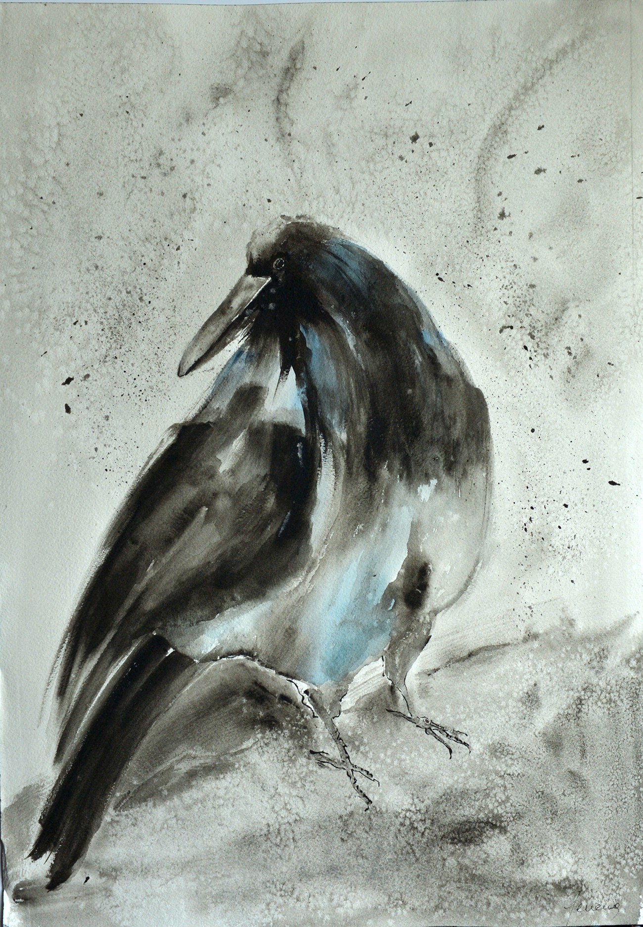 bird ORIGINAL Drawing charcoal painting illustration one of a kind handmade  large art inch 40x28, not a print