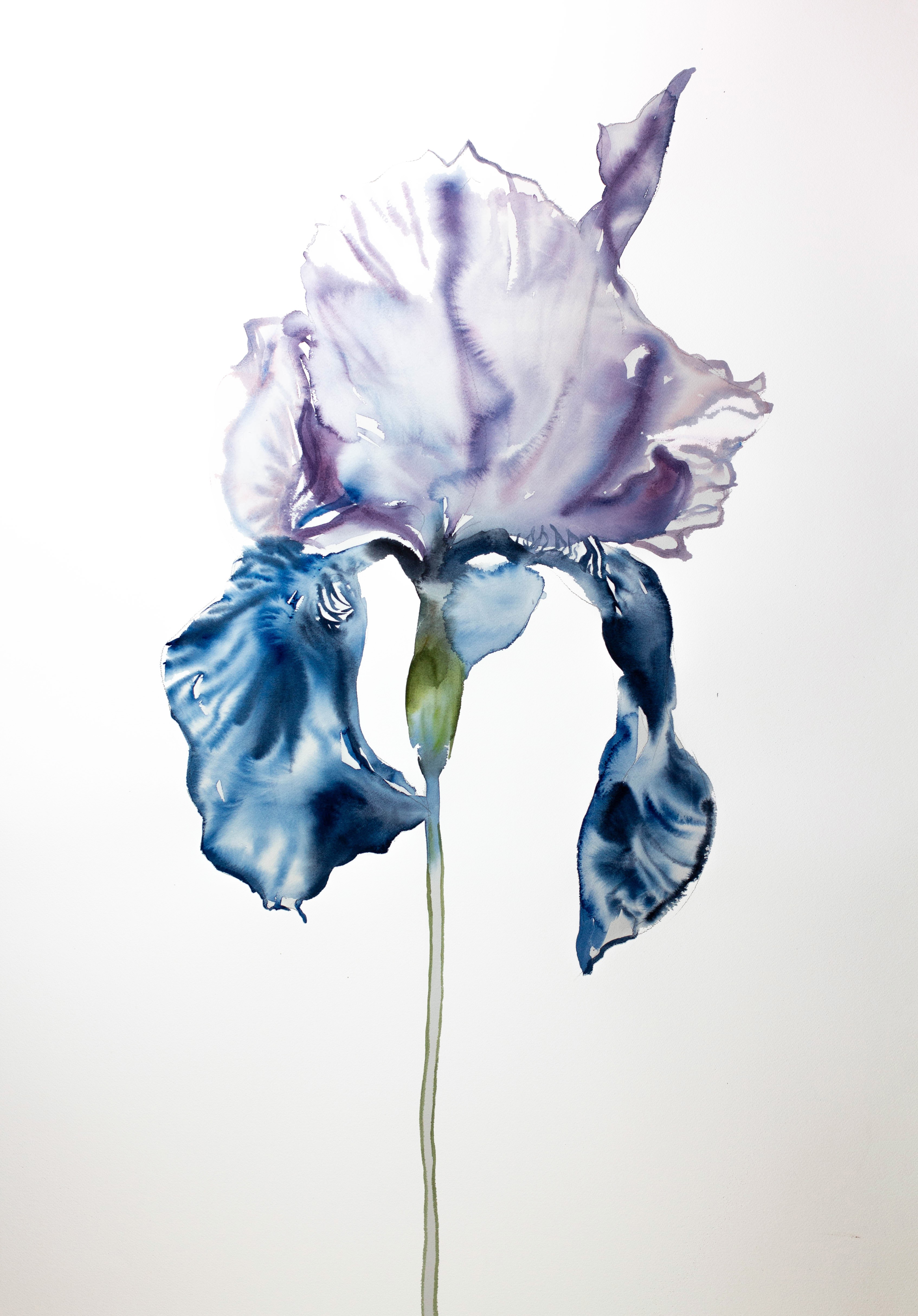 Elizabeth Becker, Iris No. 67 Elizabeth Becker, Iris No. 67