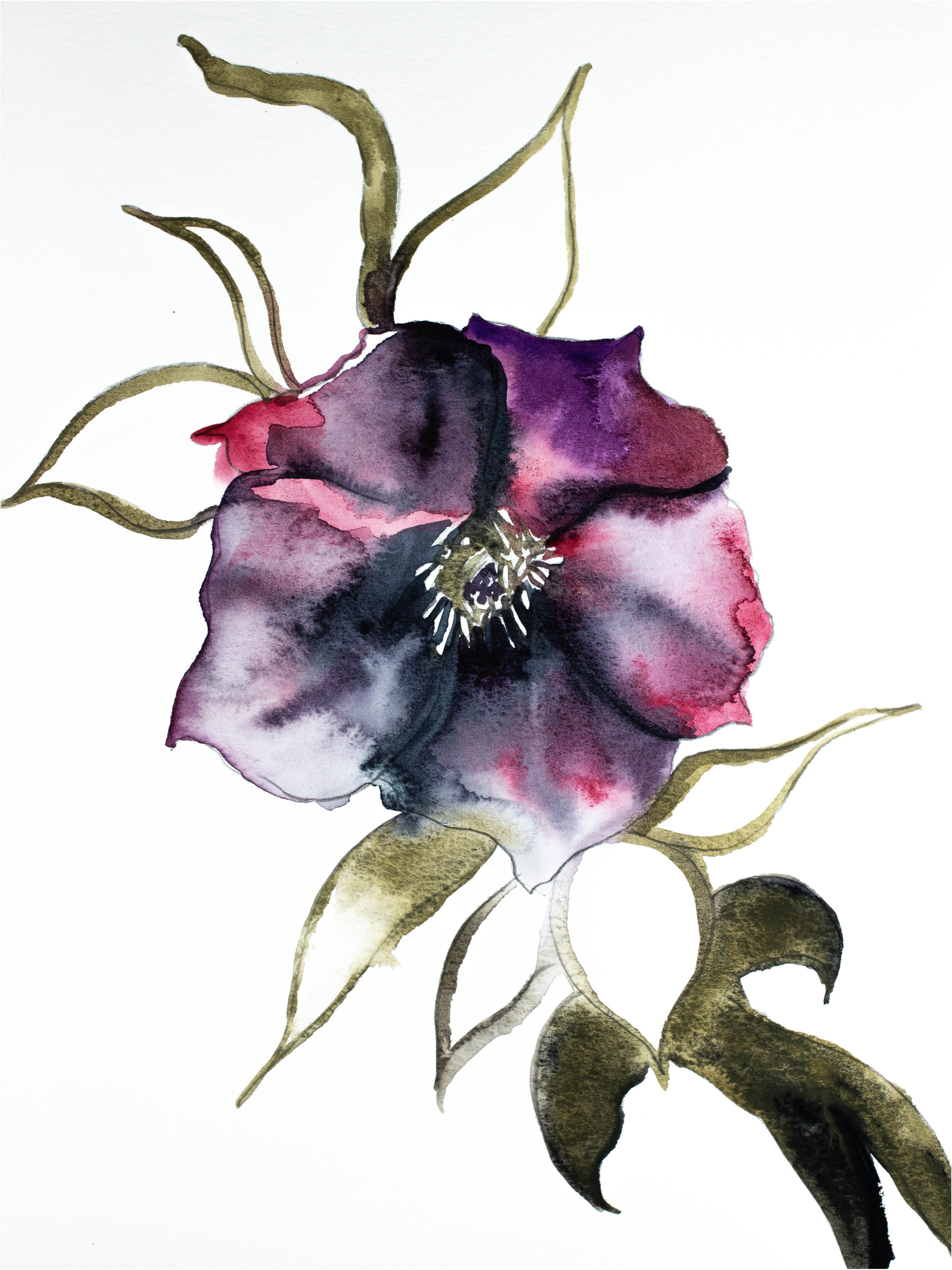 Elizabeth Becker, Hellebore No. 4 Elizabeth Becker, Hellebore No. 4