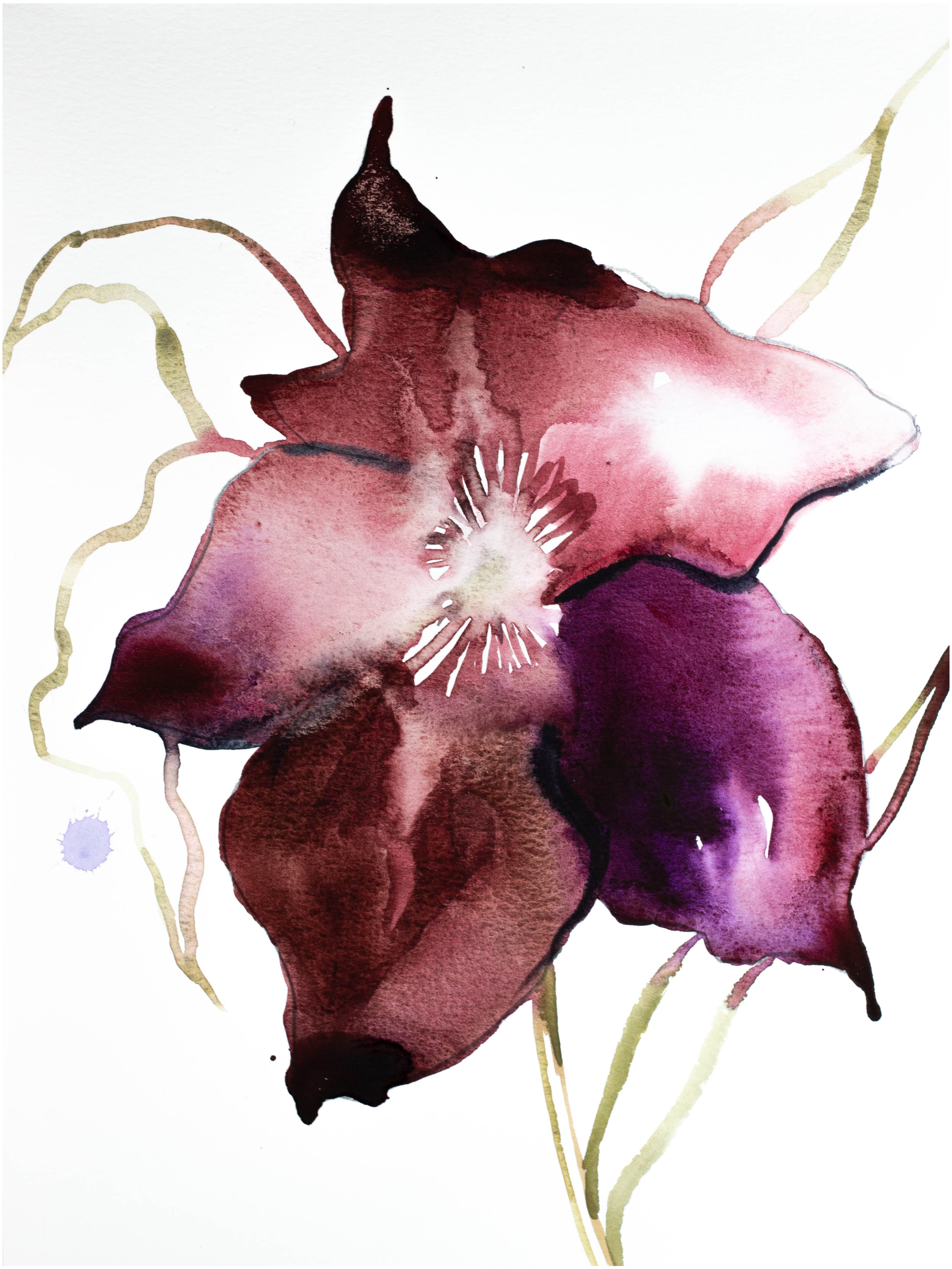 Elizabeth Becker, Hellebore No. 8 Elizabeth Becker, Hellebore No. 8