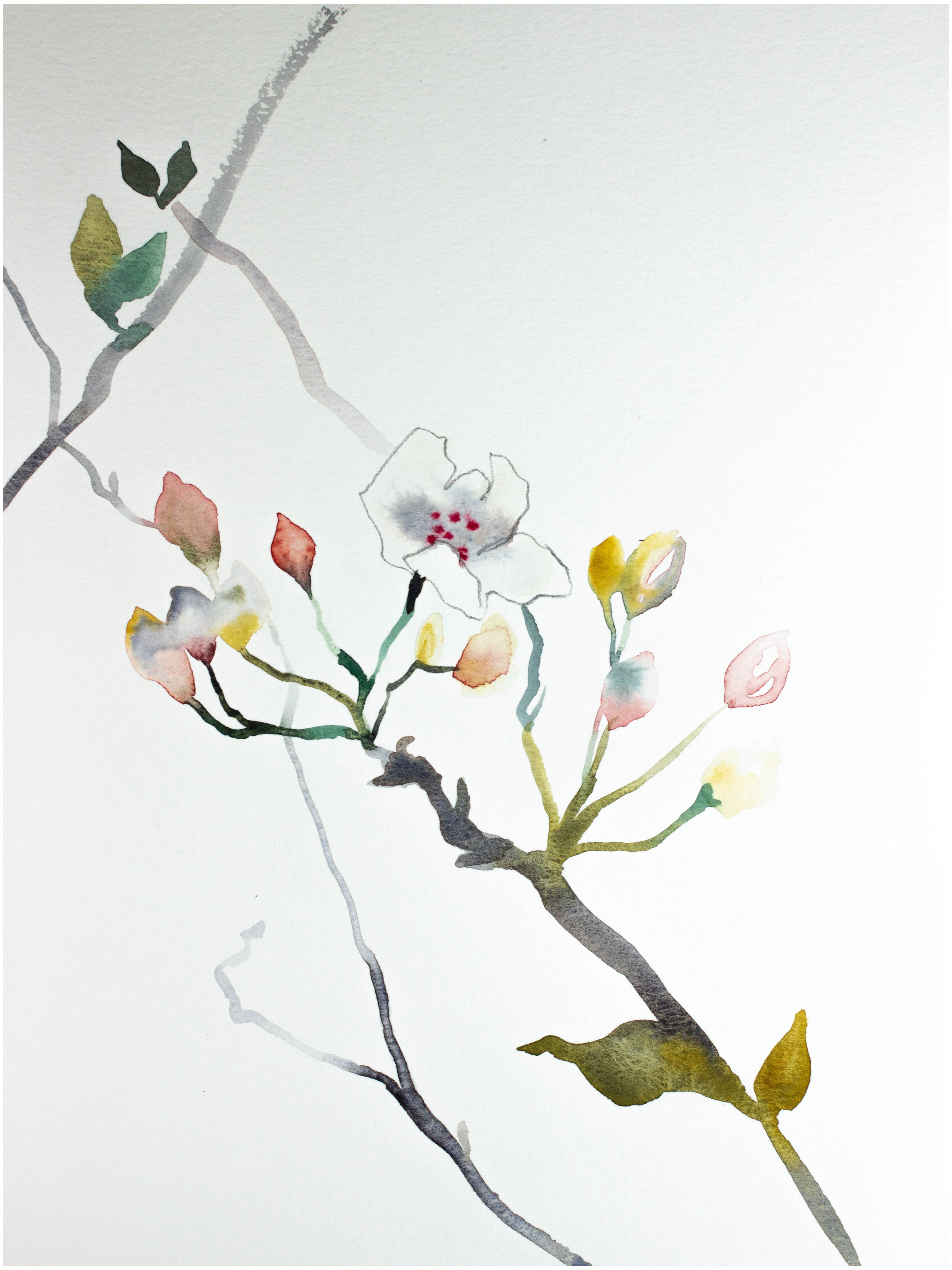 Elizabeth Becker, Cherry Blossom No. 6 Elizabeth Becker, Cherry Blossom No. 6