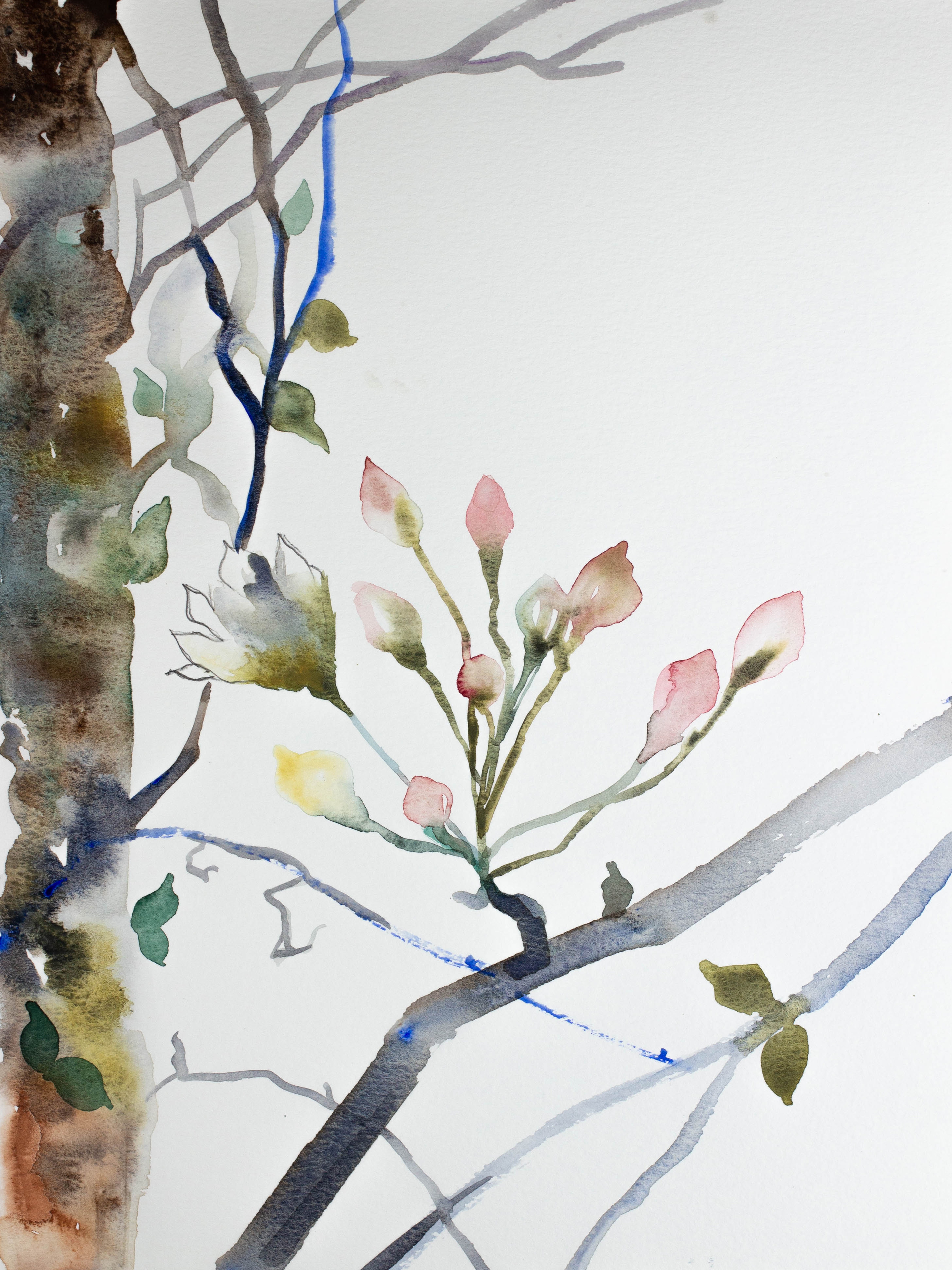 Elizabeth Becker, Cherry Blossom No. 7 Elizabeth Becker, Cherry Blossom No. 7