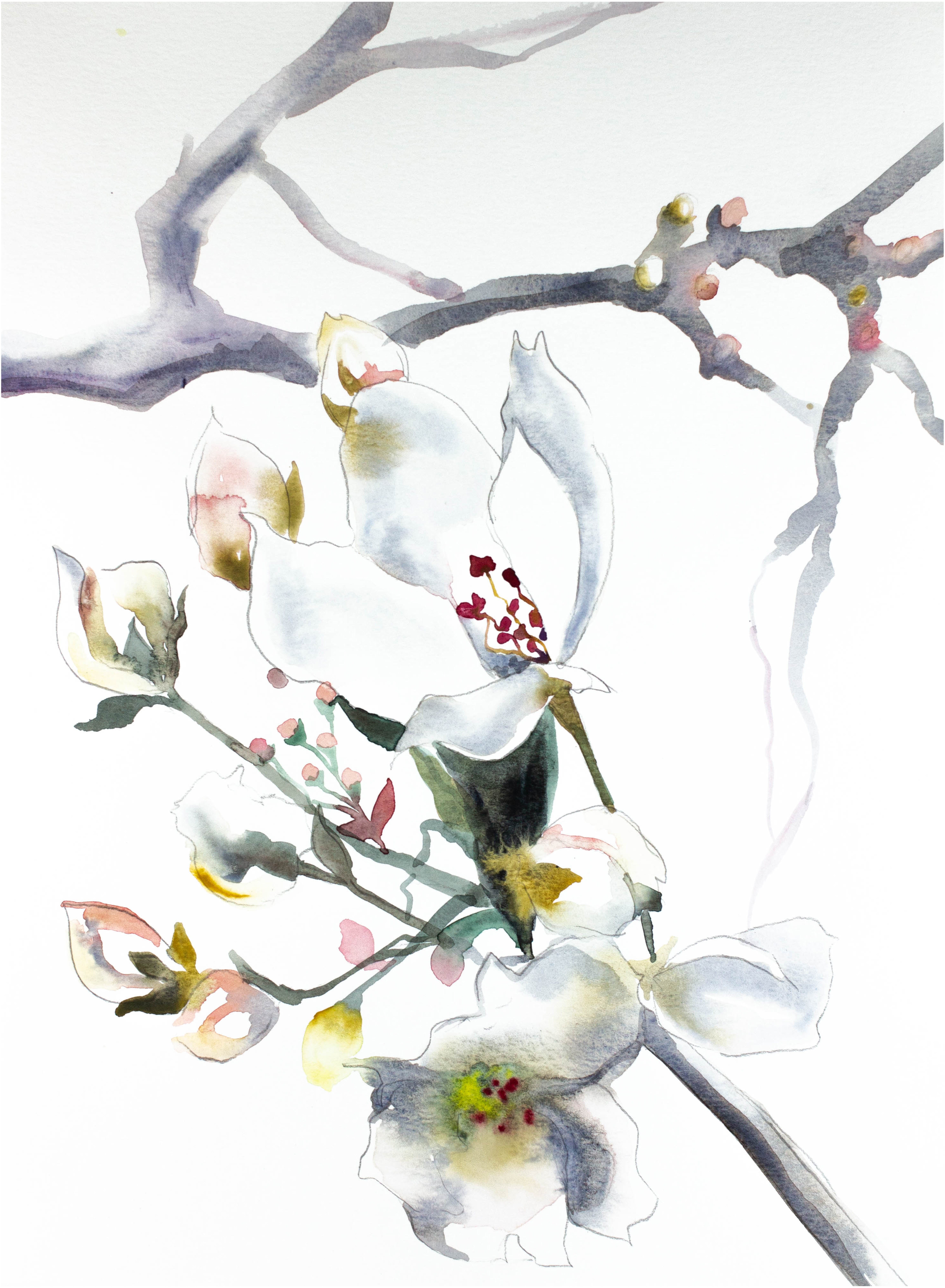 Elizabeth Becker, Cherry Blossom No. 9 Elizabeth Becker, Cherry Blossom No. 9